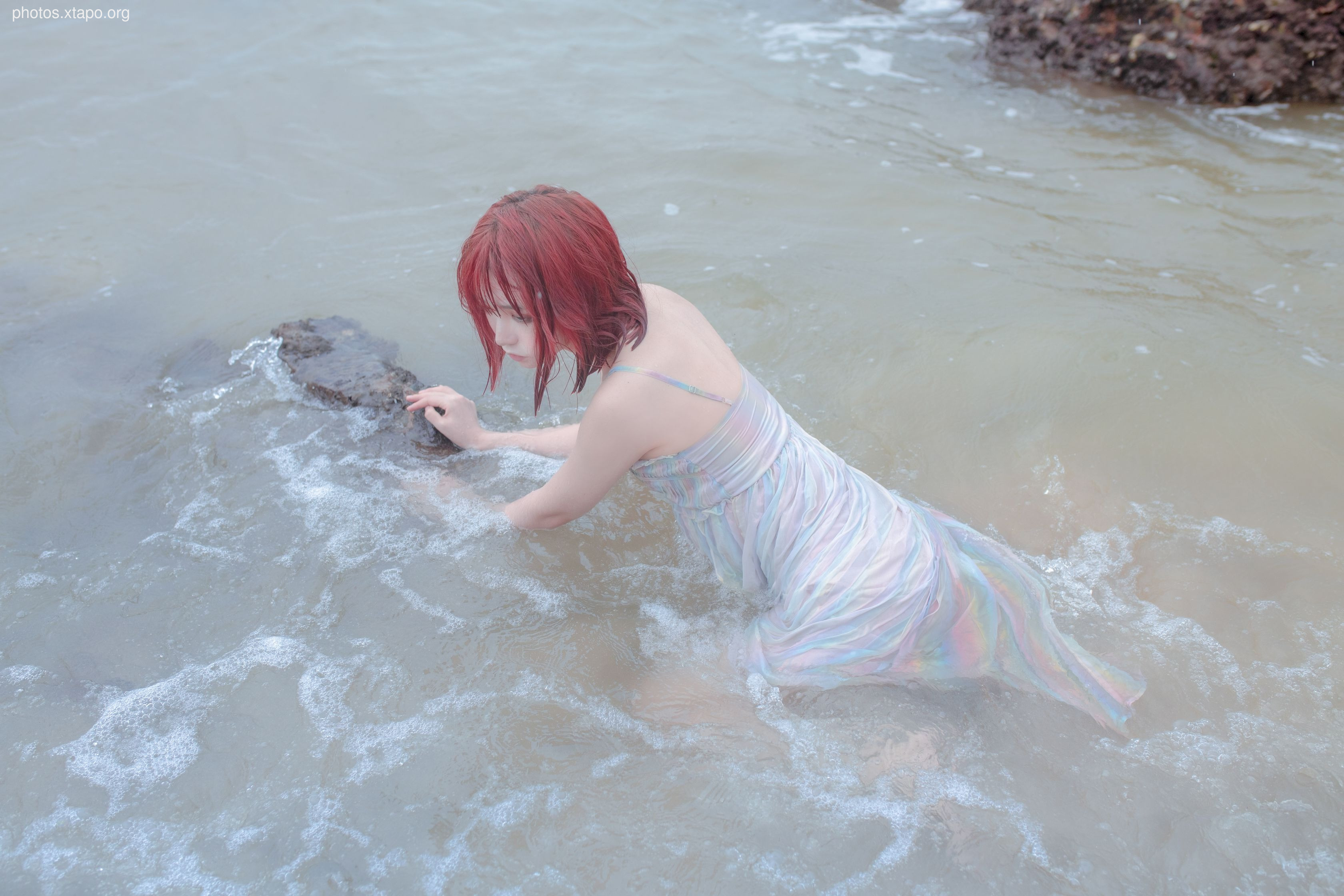 Crazy Cat SS Thinking This Reef Mermaid Crazy Cat SS Thinking This Reef Mermaid