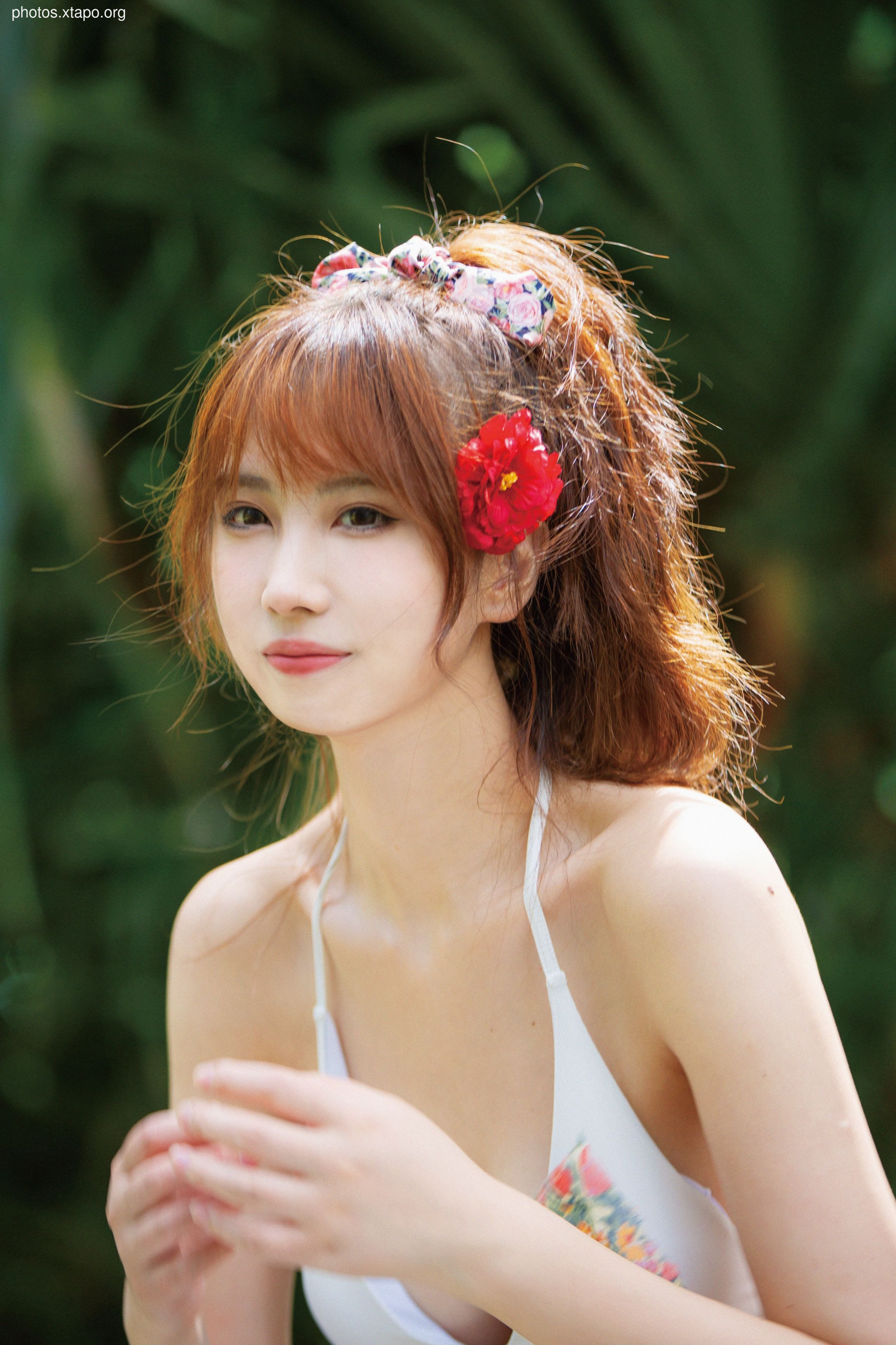 NO.034 Showa Flower 35P-435MB