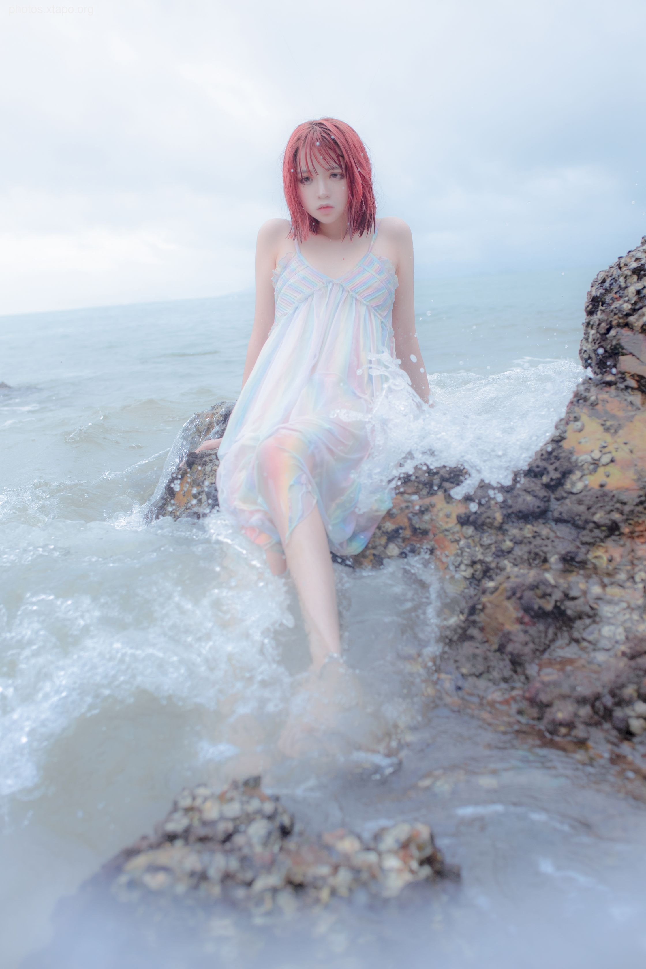 Crazy Cat SS Thinking This Reef Mermaid Crazy Cat SS Thinking This Reef Mermaid