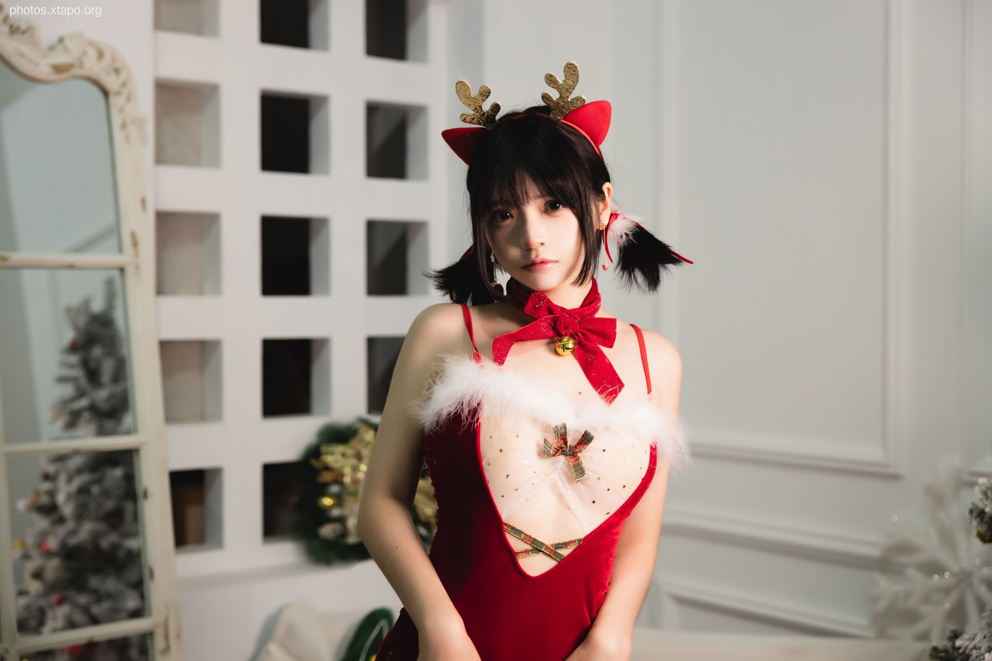 Crazy Cat SS Christmas Set (December 30 Award Group Resources)