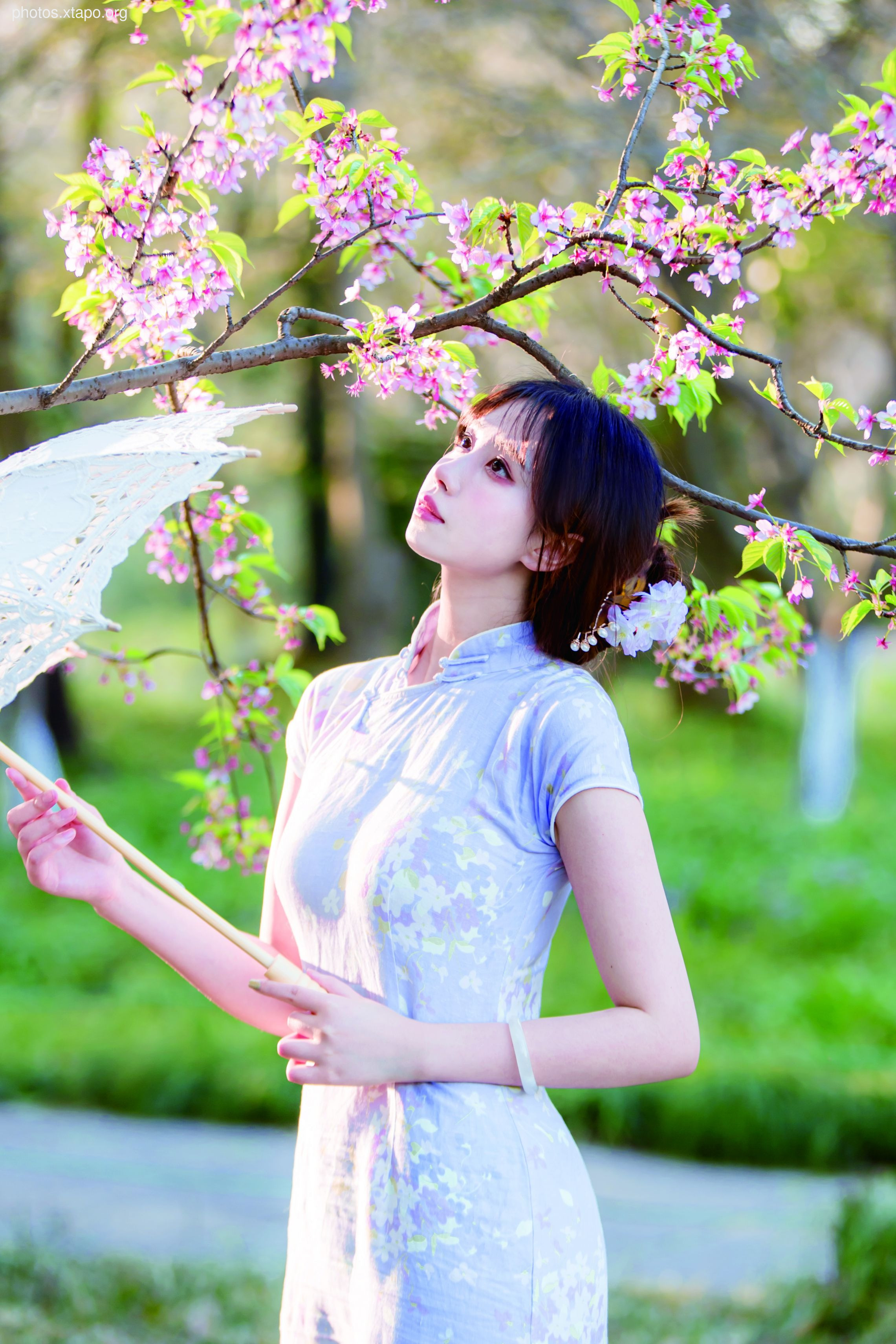 NO.026 Cheongsam 38P-377MB