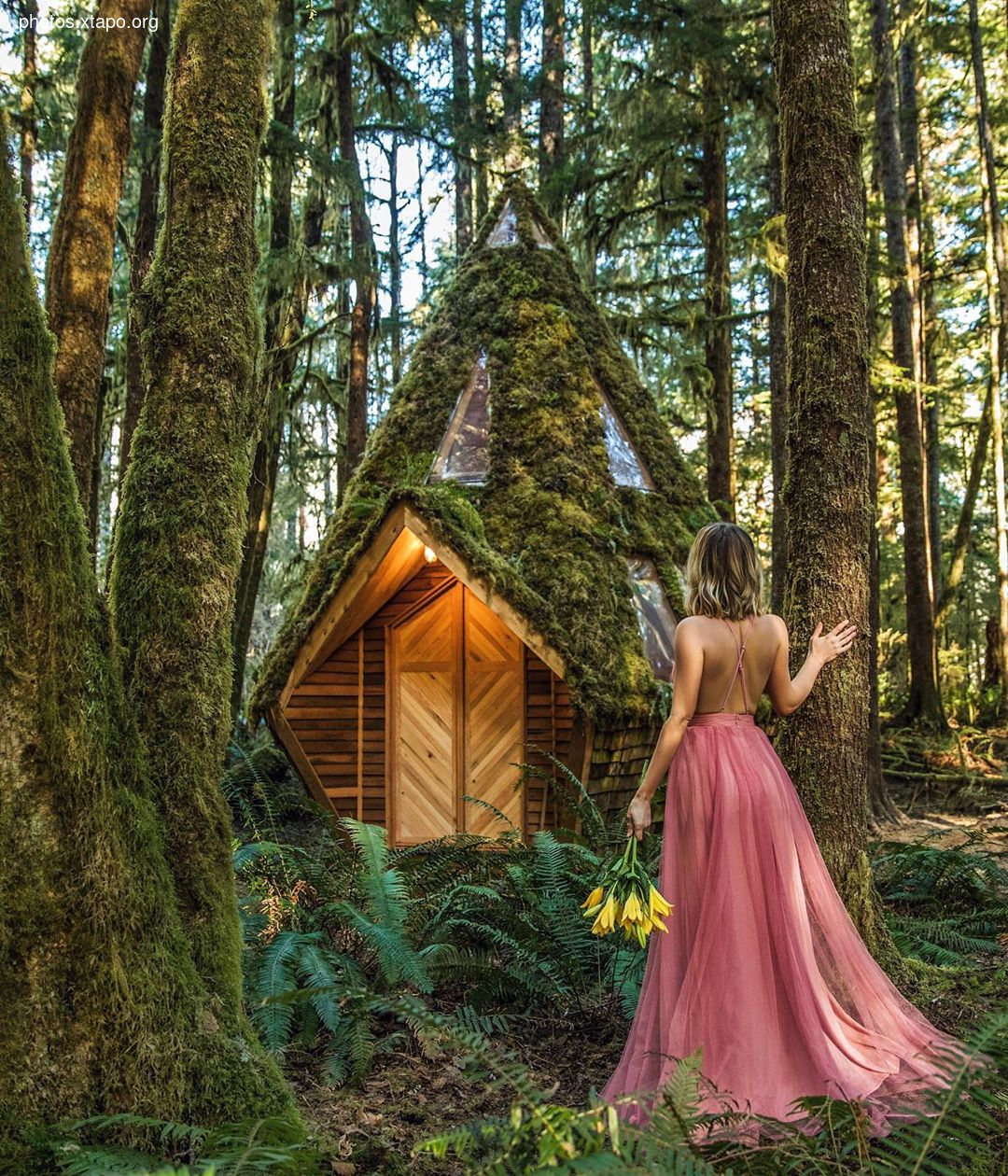 Building a wonderland of artisan cabins nestled in the PNW rainforest by Jacob Witzling & Sara Underwood