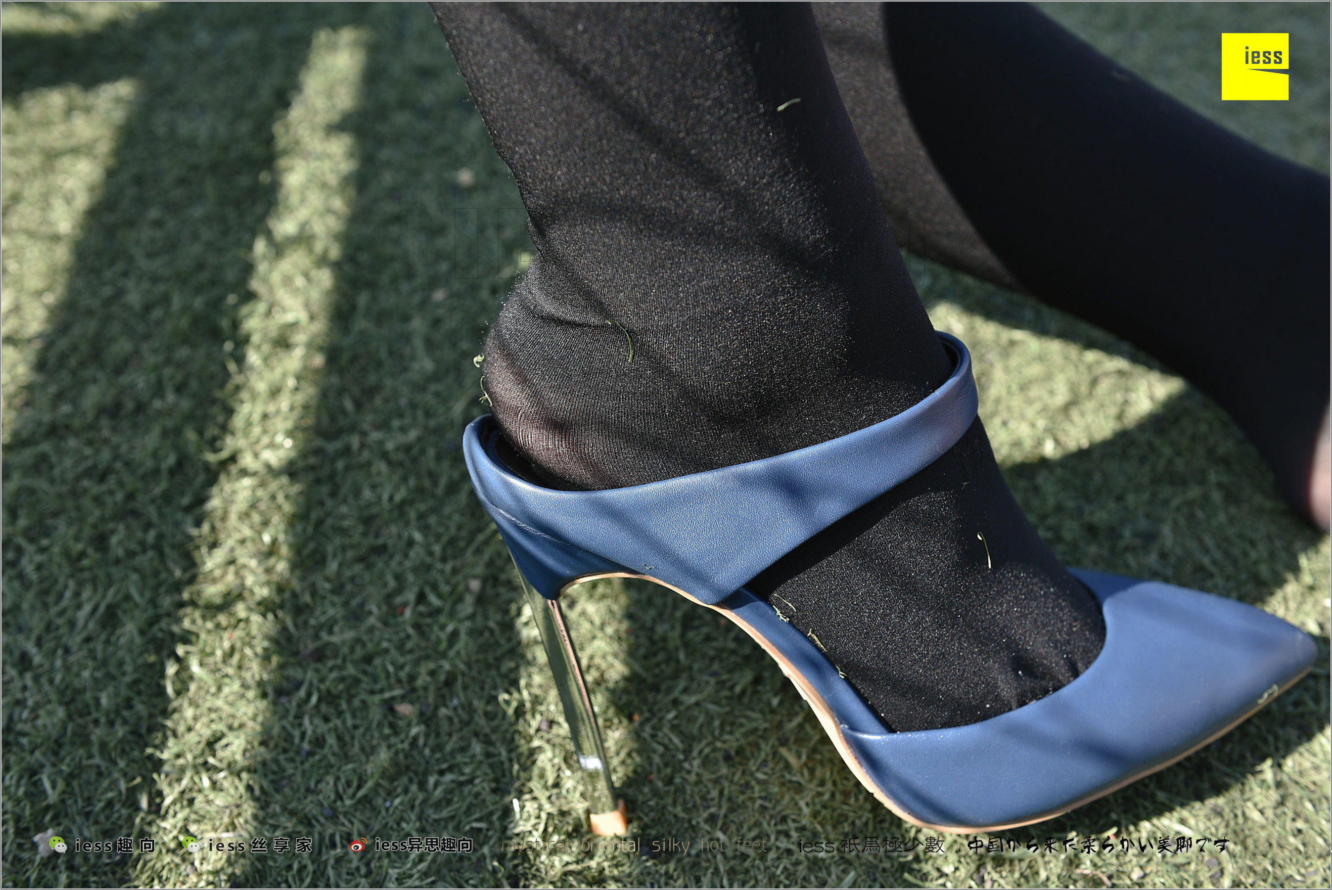 Silk Foot Bento 182 The Thick Black Silk Temptation of Thick Black Silk