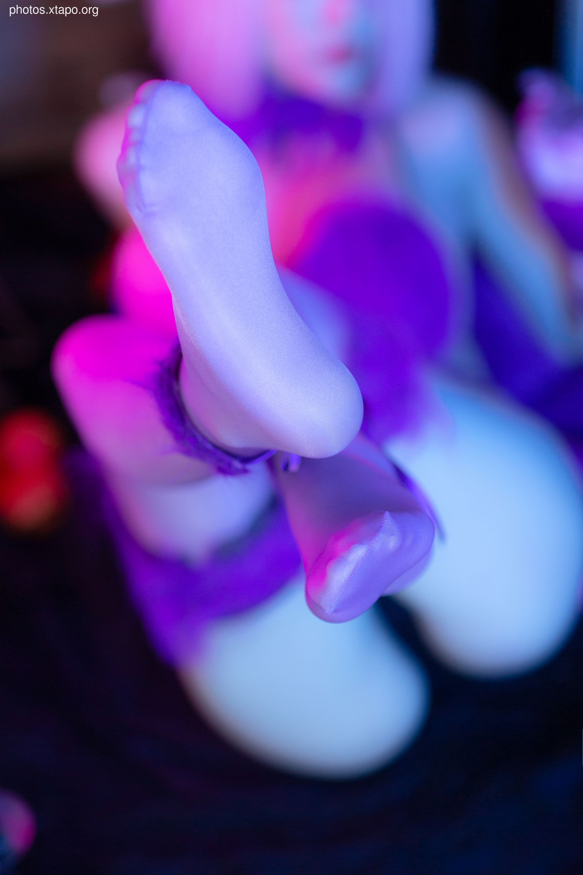 NO.0255 Halloween Matthew 41P-462M