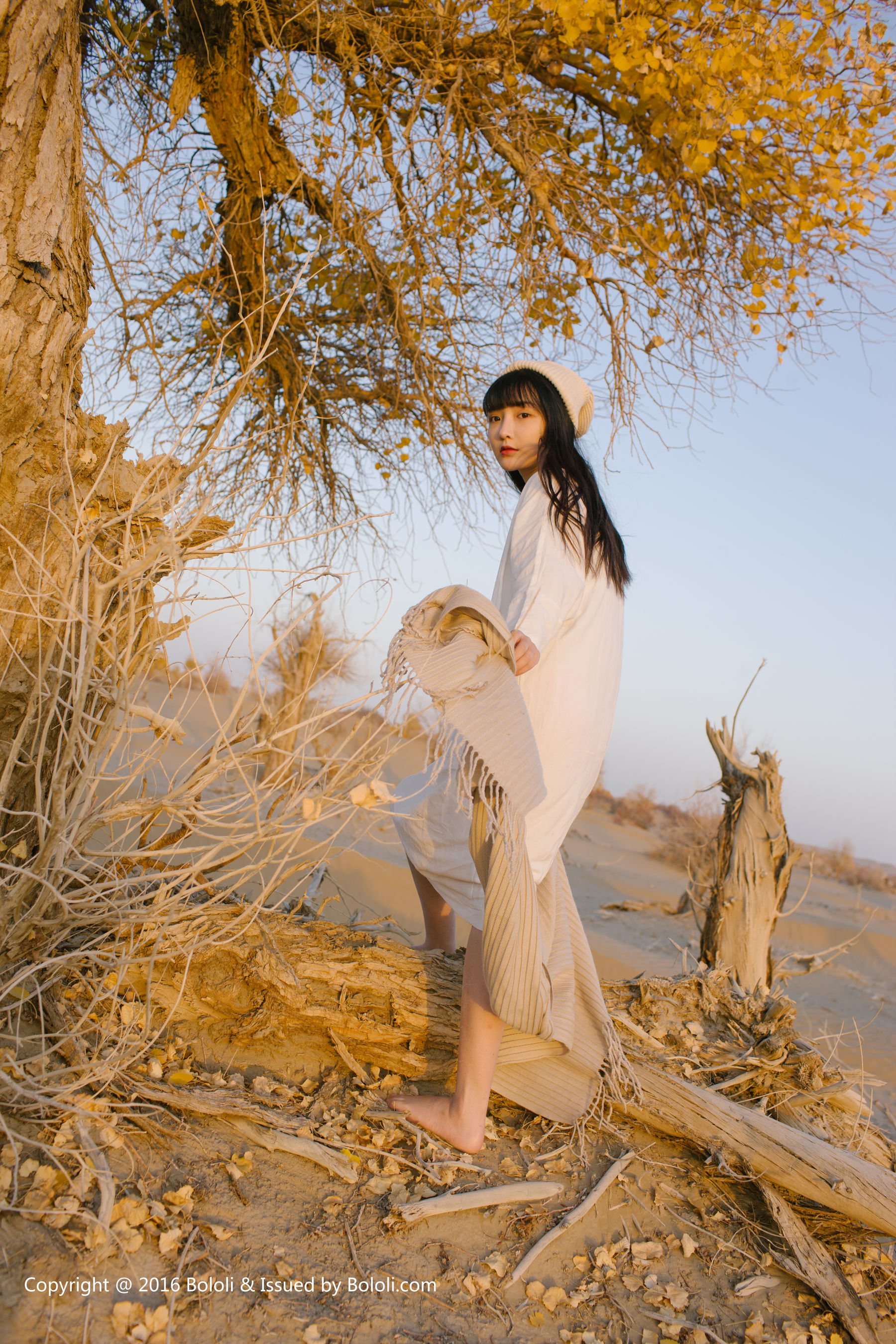 Wang Zhiying Desert Kimoe Que Meng Culture KIM009