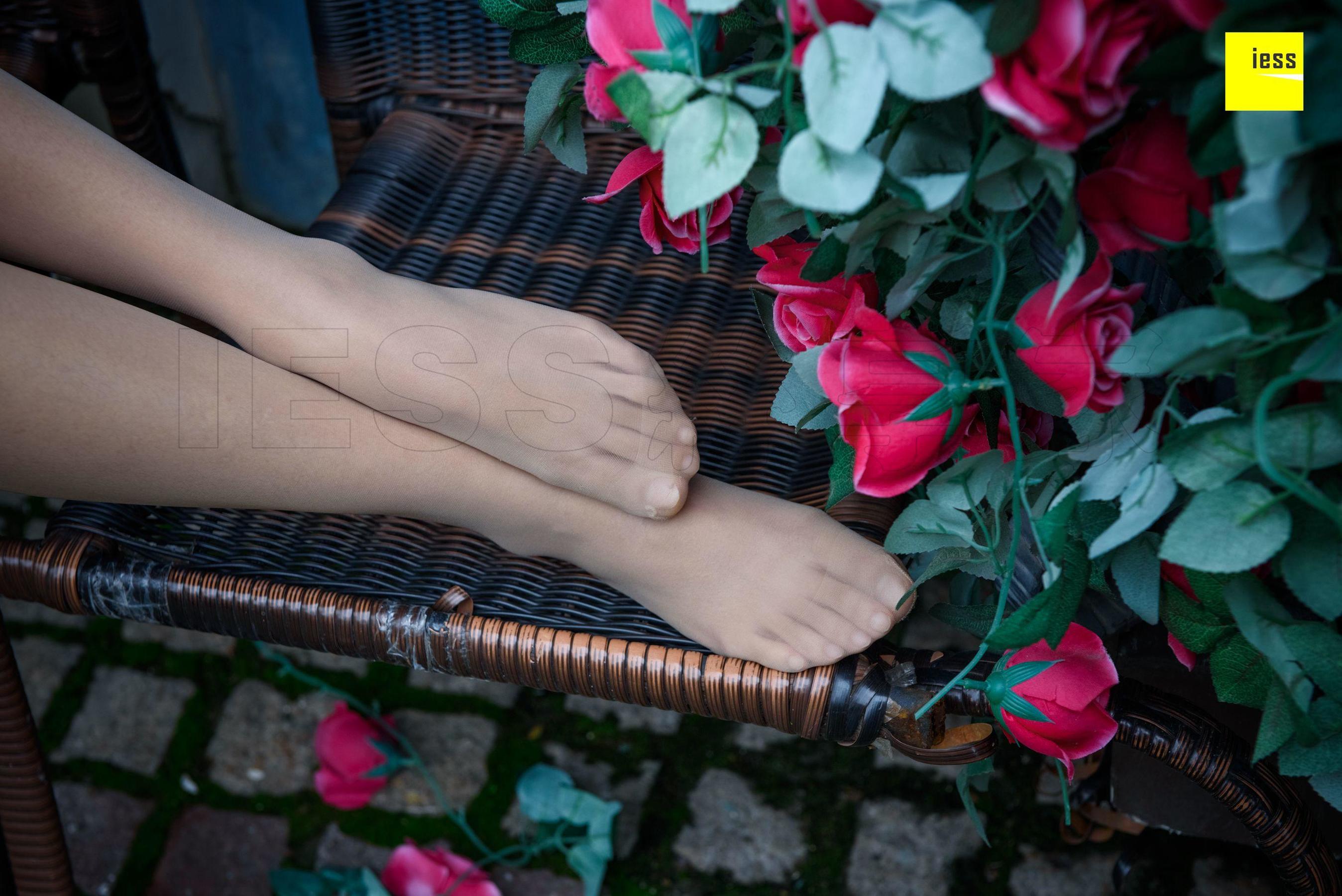 Wan Ping's Rose and Patriarchs Fun Thoughts to IESS Silk Enjoy Home 161