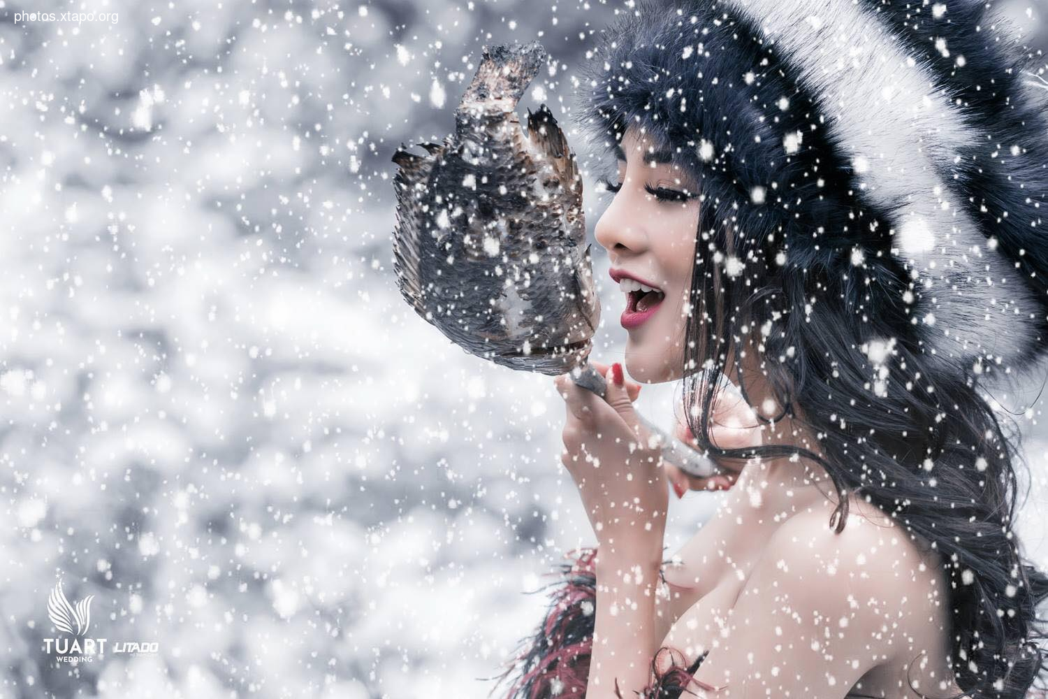 Tuyet Son Phi Ho, - Absolute Coc Coc V2 by Tuart