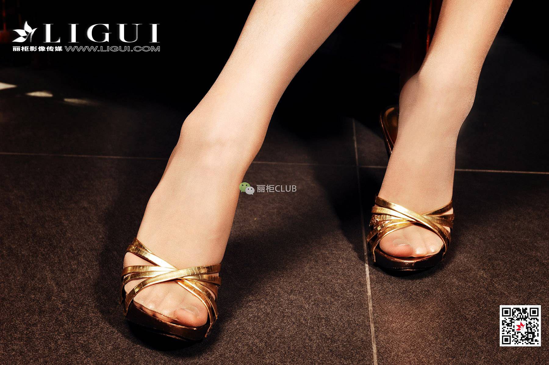 Leg Model Liu Tao Classical Meisi Li Cabinel Ligui Stockings Beautiful Legs