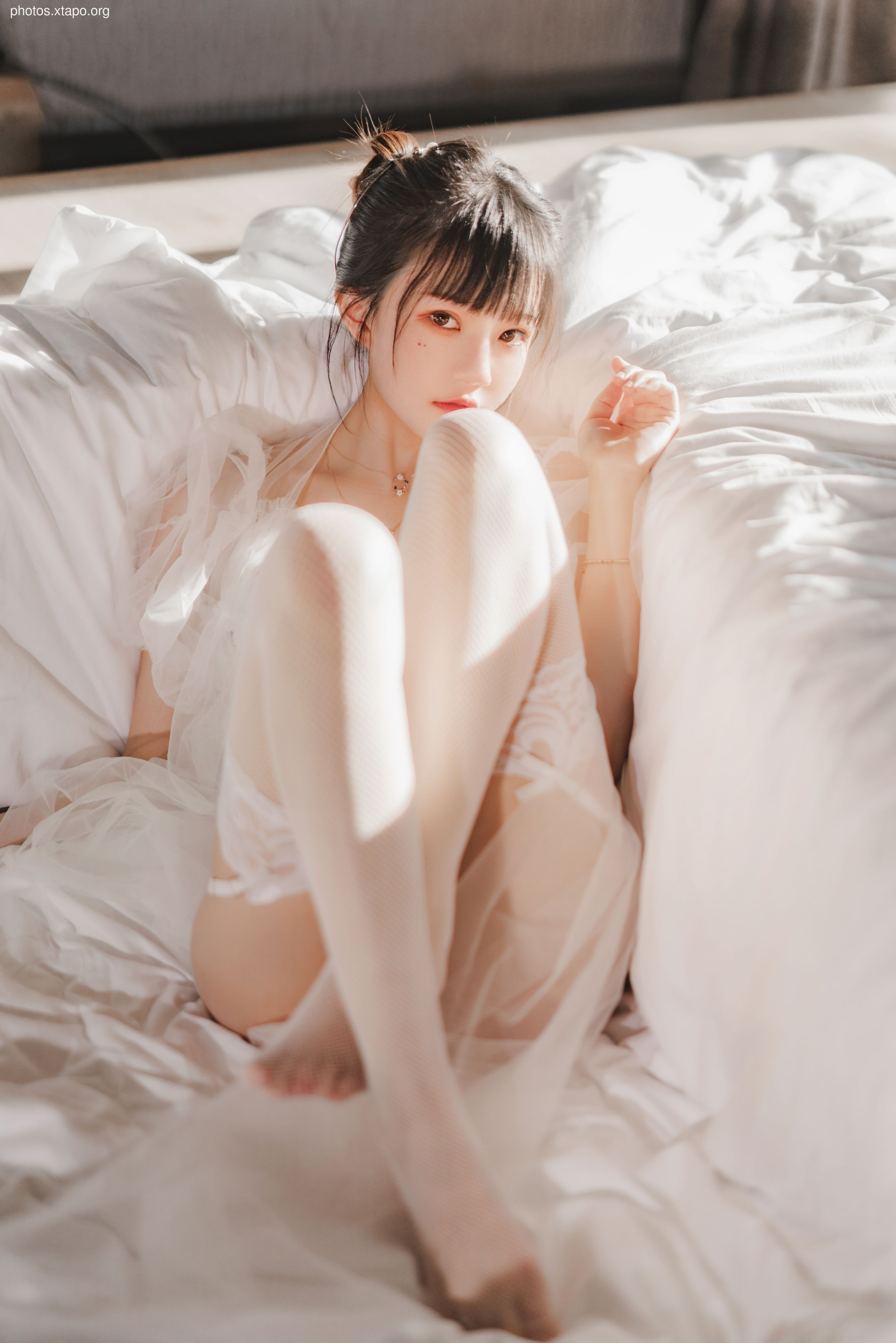 糖 桜 – -White gauze sugar