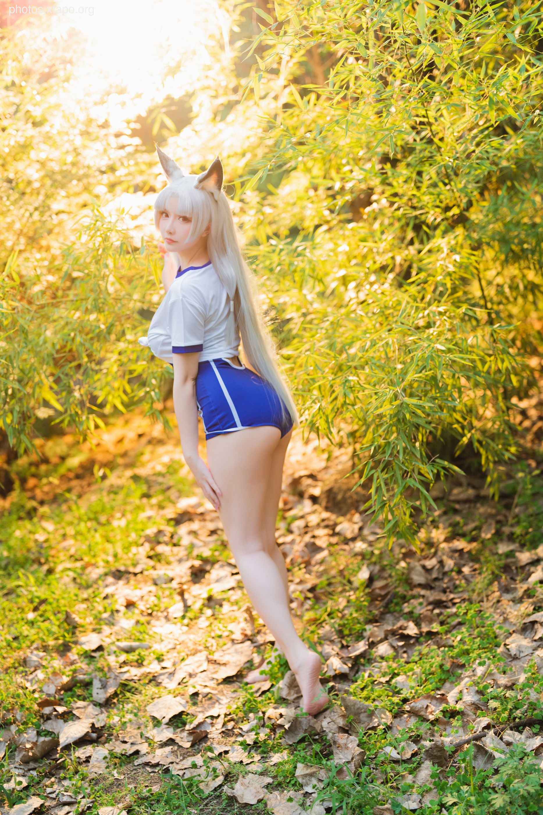 Stars late September Plan Ah Tao Library Water (October 14 Award Group Resources)