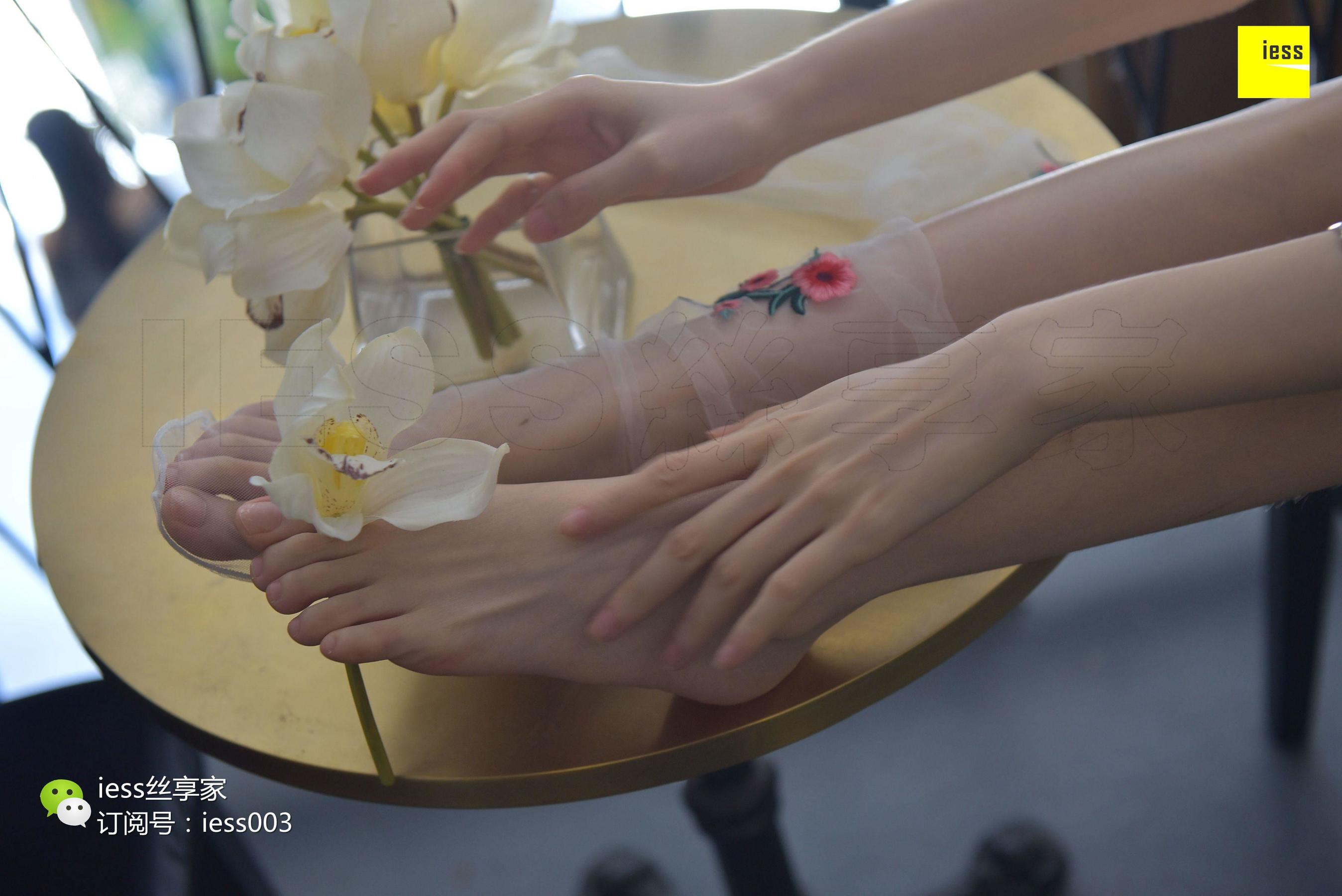 Silkxiang Home 050 Jiajia Jiajia Jiaye IESS is thinking about it