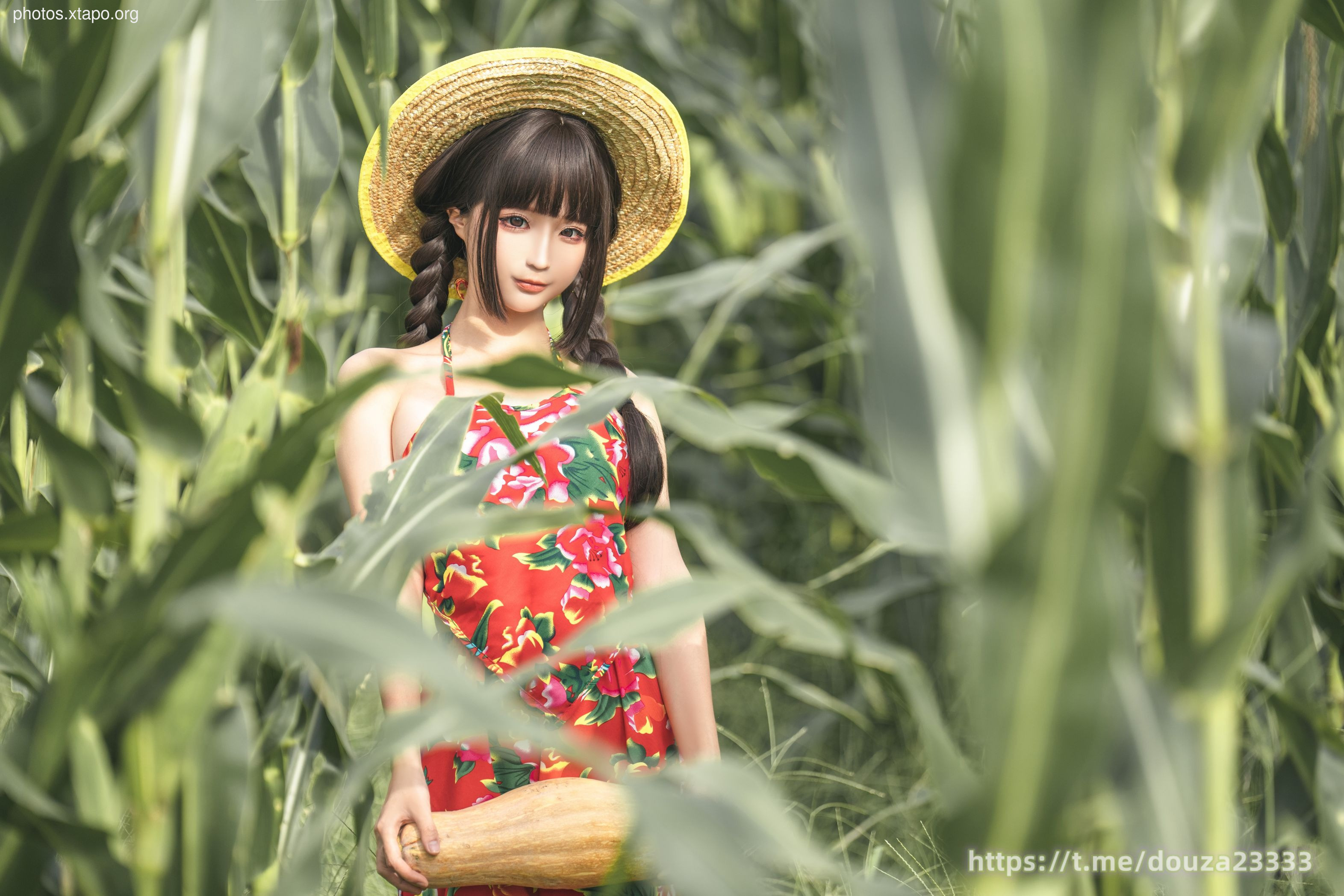 Story of Stupid Momo Rice Land (September 11th Member Resources)