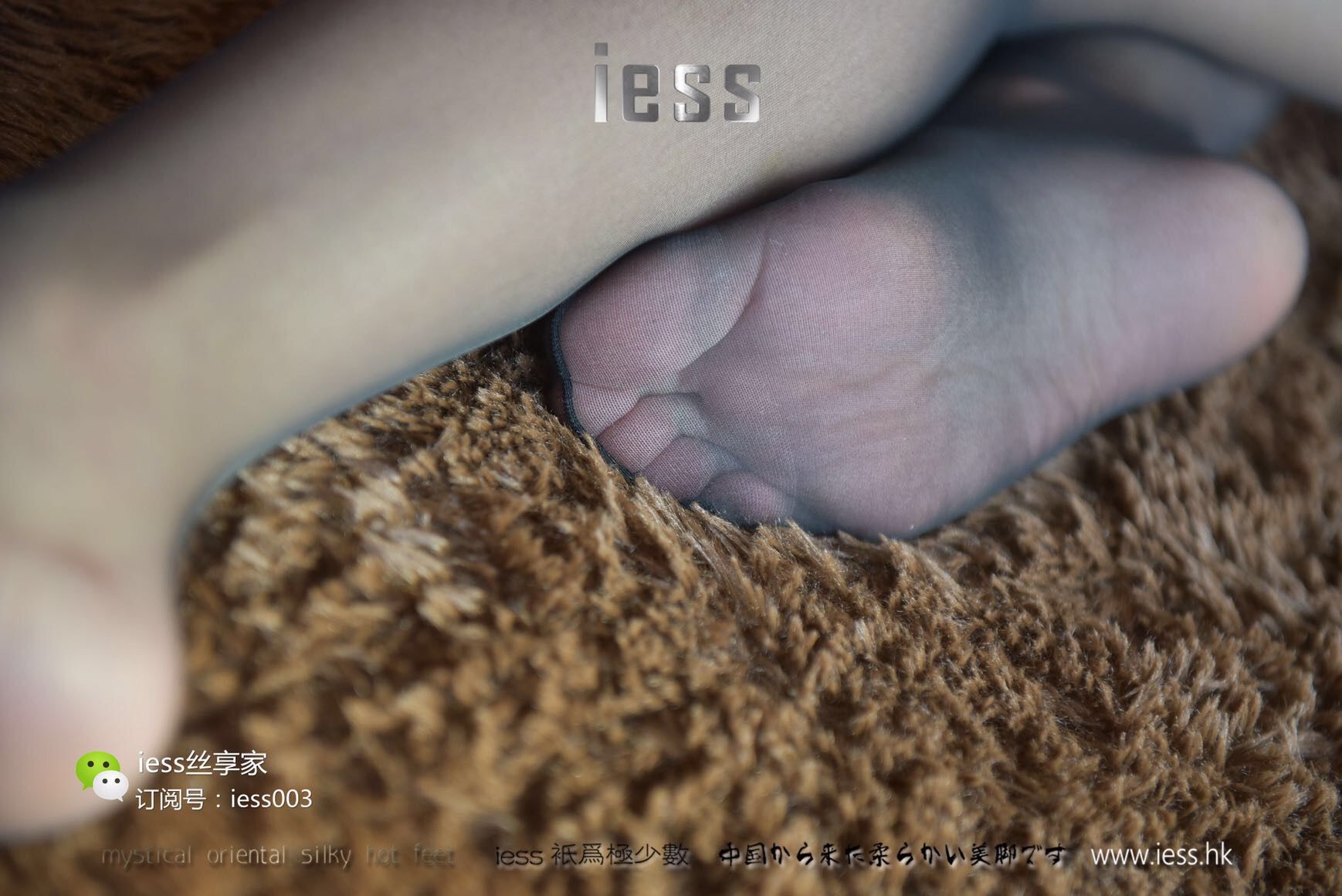 Si Xiangjia 015 Qiuqiu Black Light IESS is thinking about it