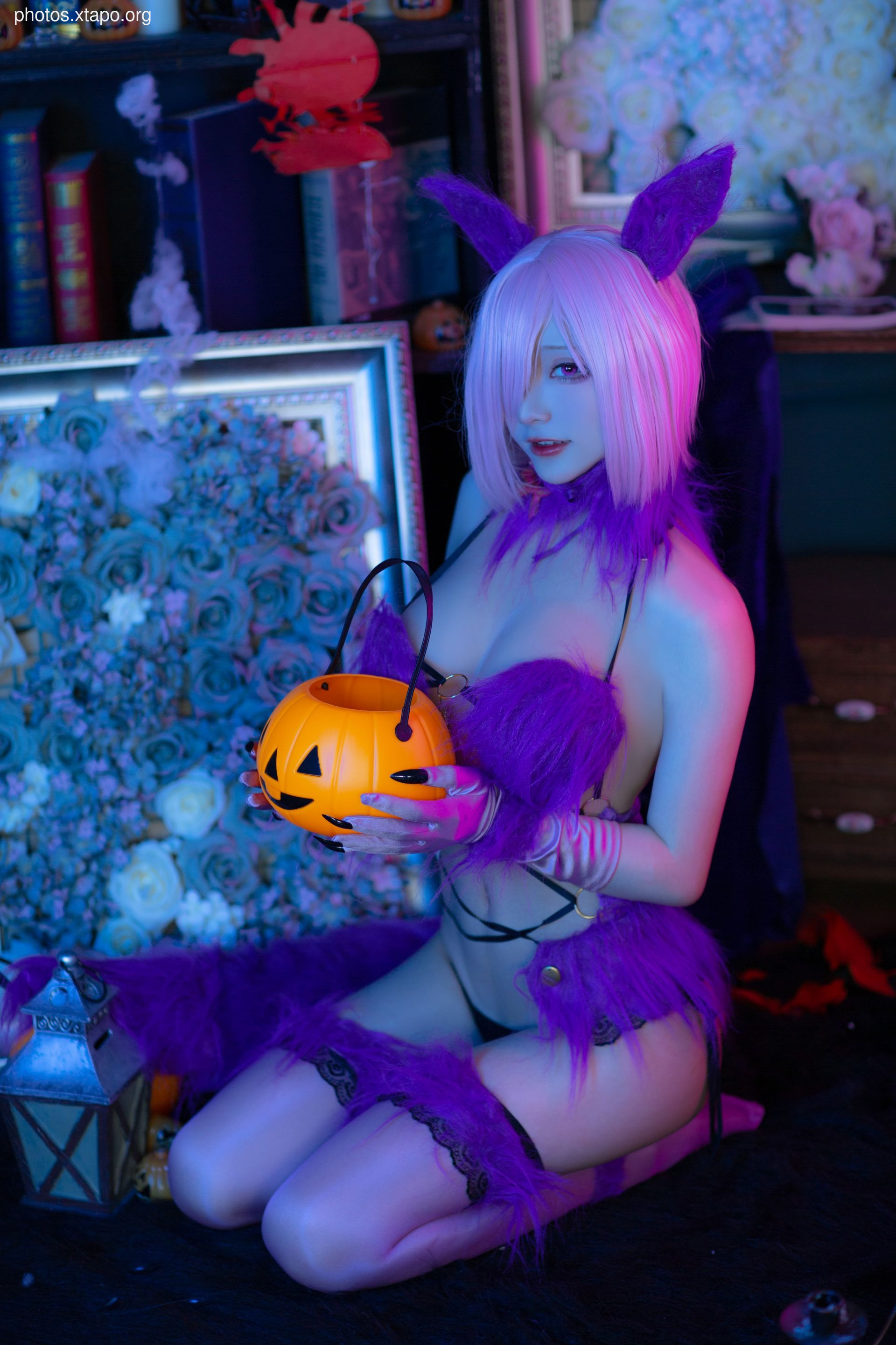 NO.0255 Halloween Matthew 41P-462M