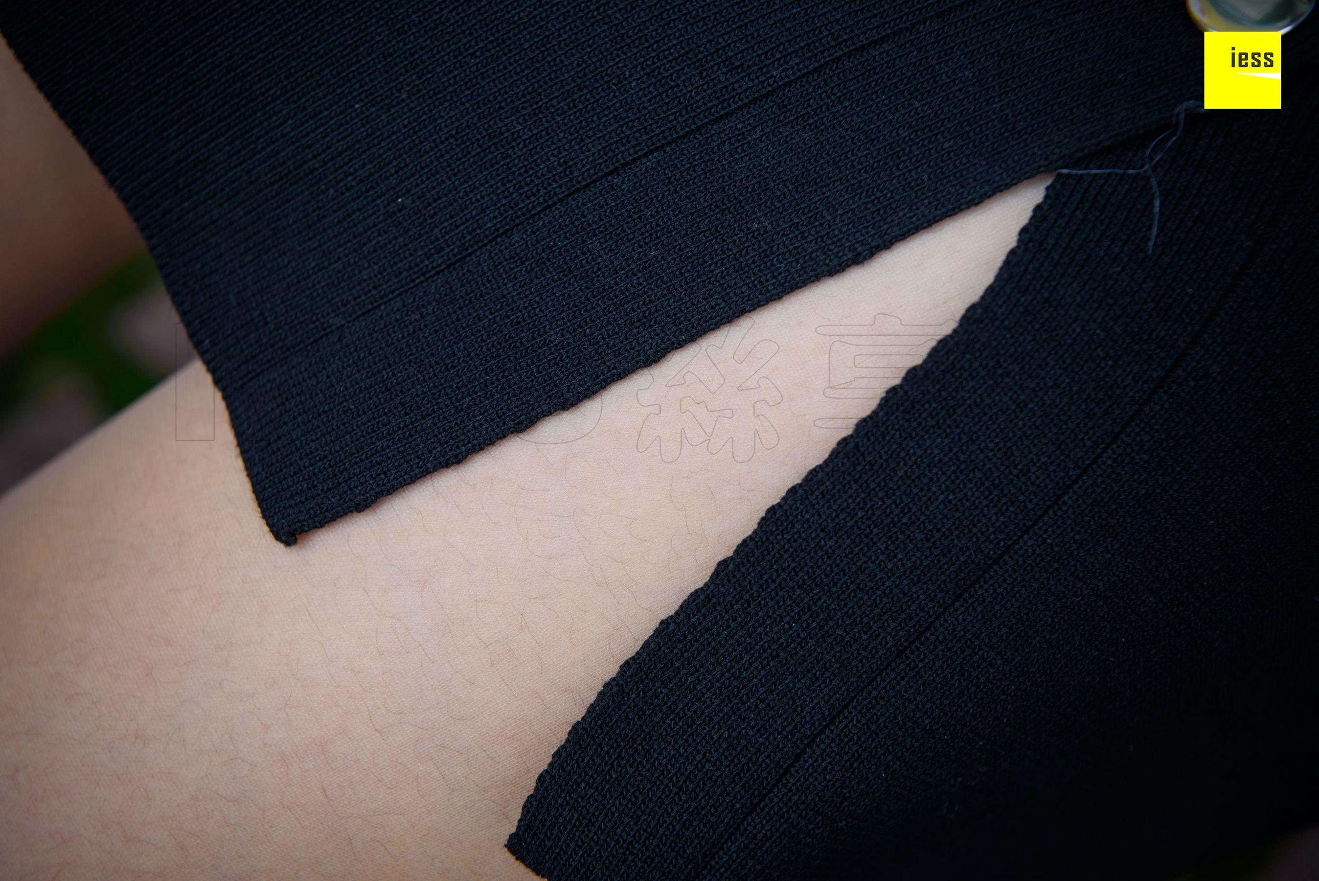 Wan Ping's Rose and Patriarchs Fun Thoughts to IESS Silk Enjoy Home 161