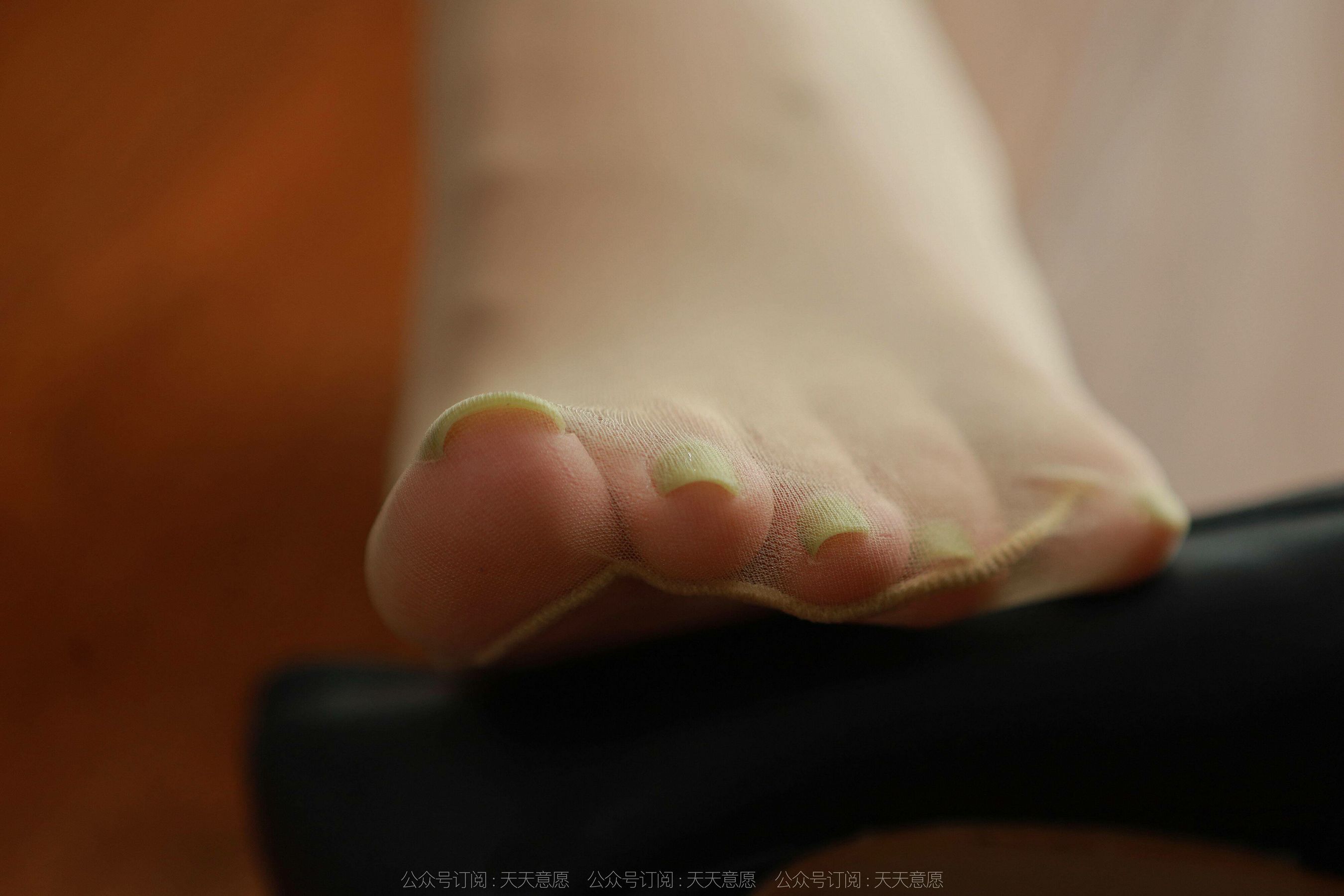 Different Thoughts to IESS Model Shanshan Perfect Secretary