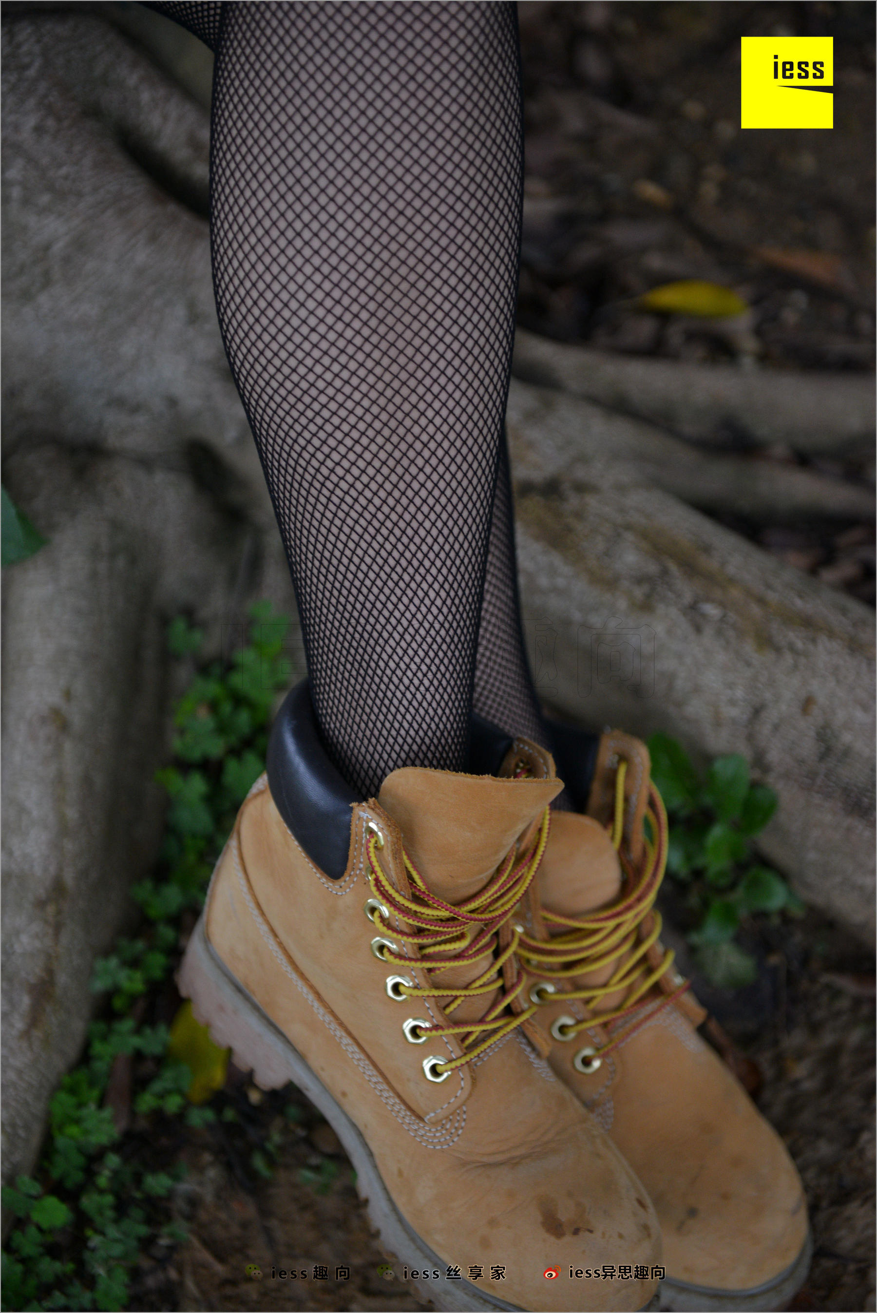 Xiaoxiao's Eye Socks that goes astray Different Thoughts to IESS Silk Foot Bento 233