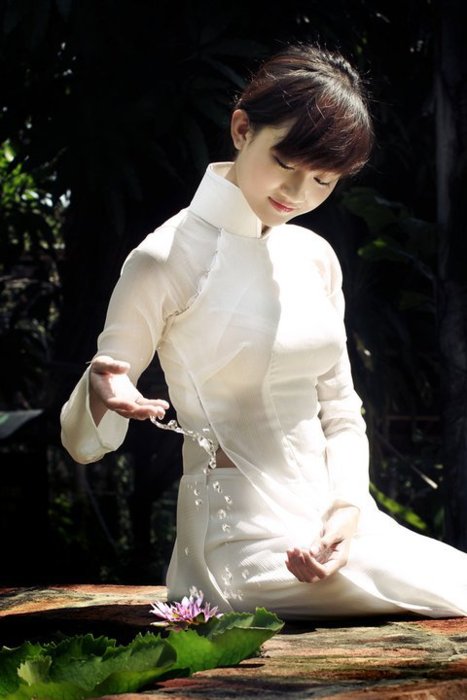 Top 100 most beautiful long dresses in Vietnam