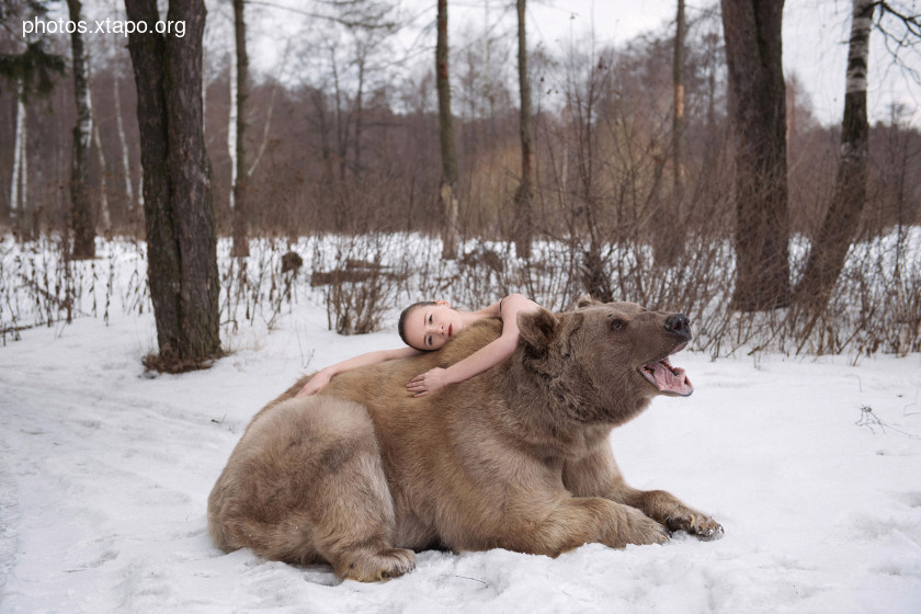 Russia nature, forest and animals by Olga Barantseva