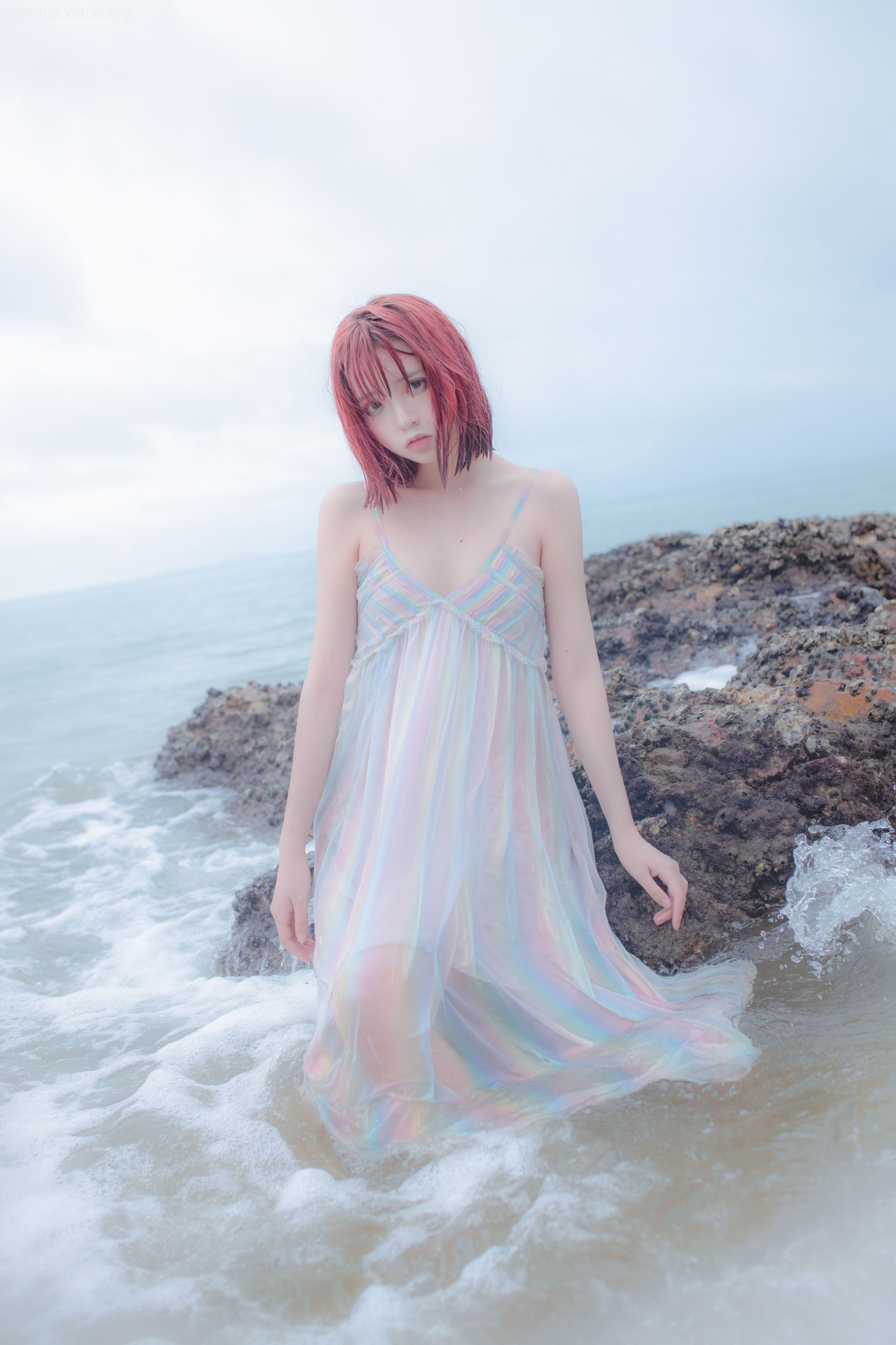 Crazy Cat SS Thinking This Reef Mermaid Crazy Cat SS Thinking This Reef Mermaid