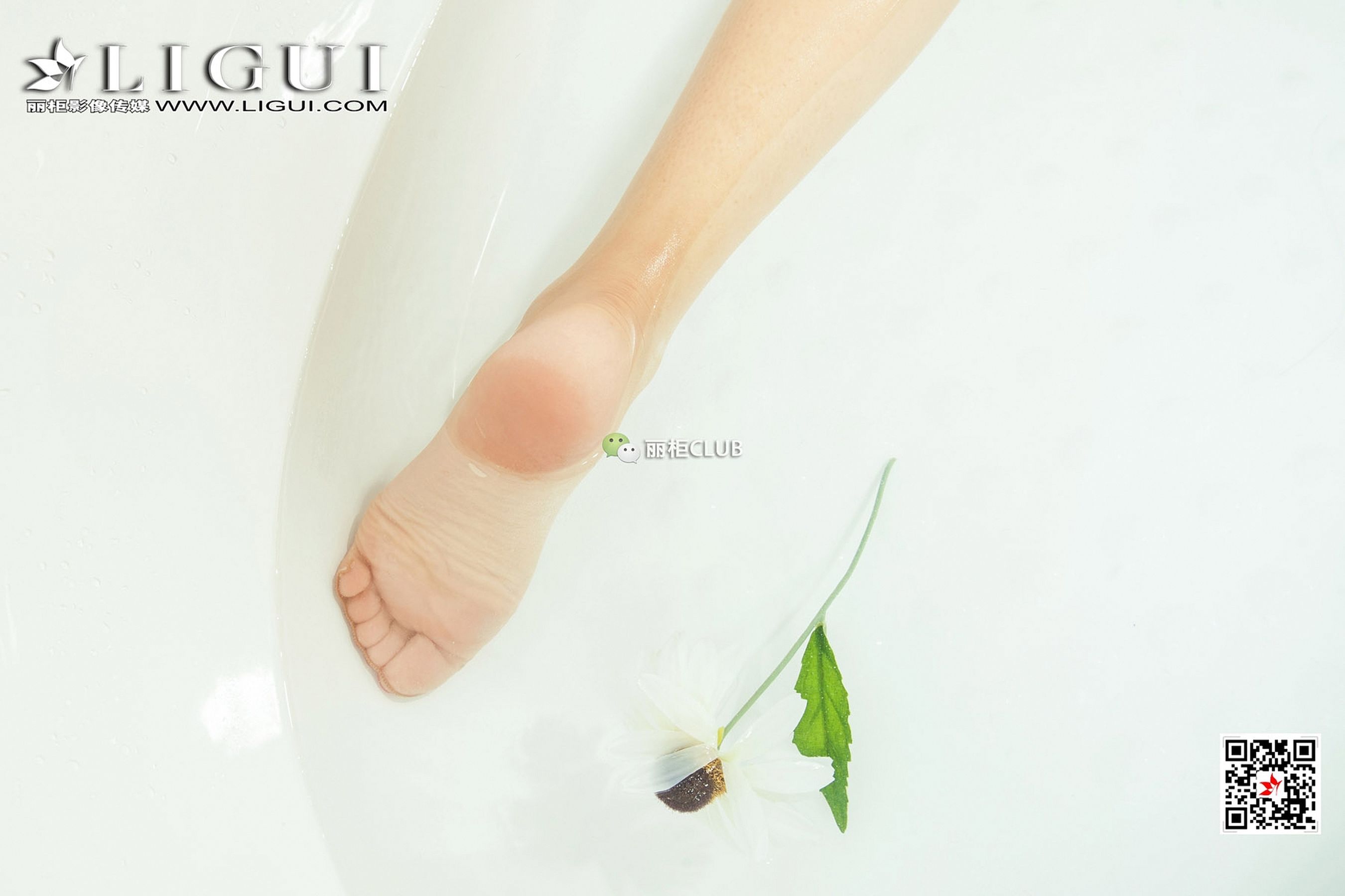 Model Youyou Bath Jade Foot Li Cabinel LIGUI