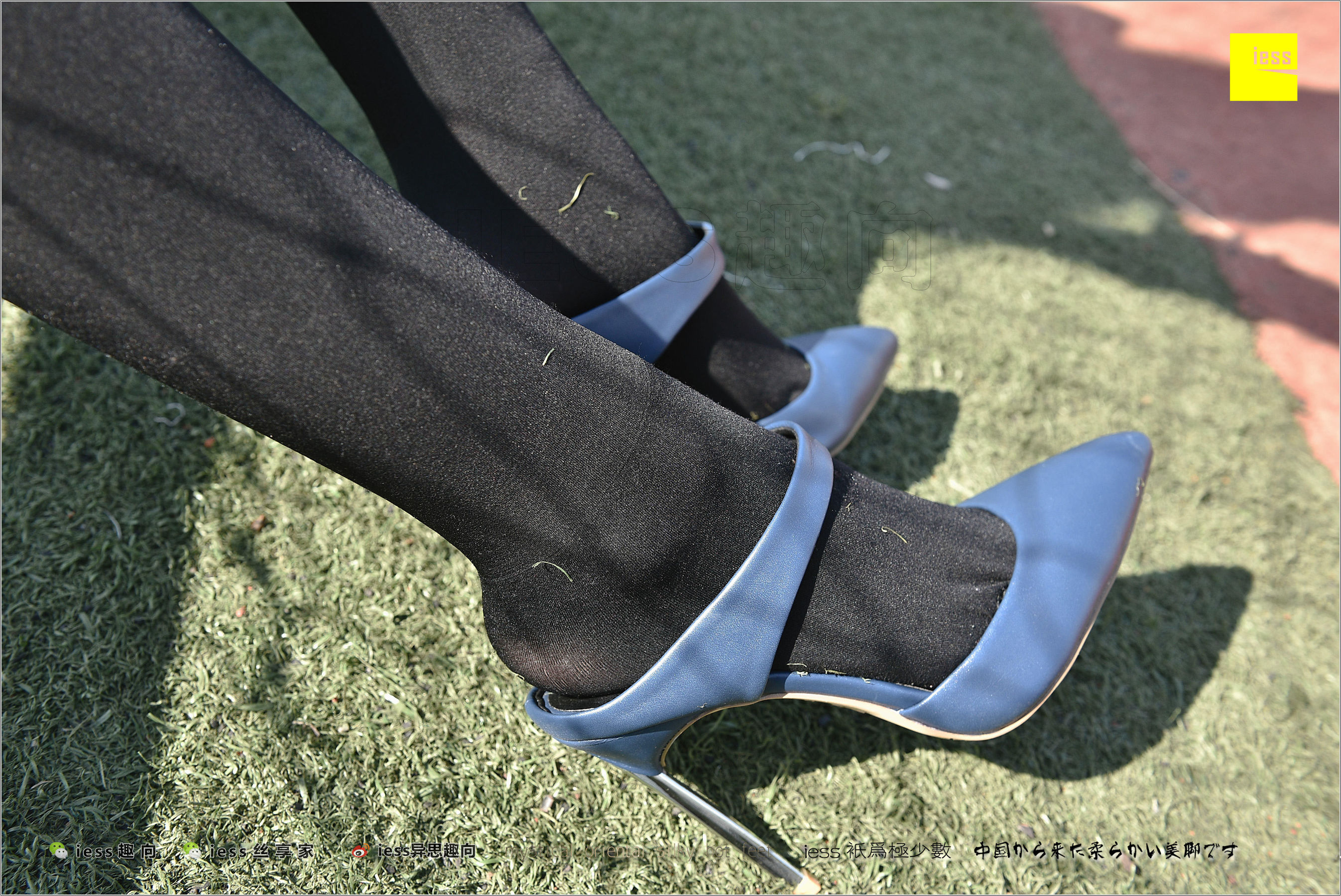 Silk Foot Bento 182 The Thick Black Silk Temptation of Thick Black Silk