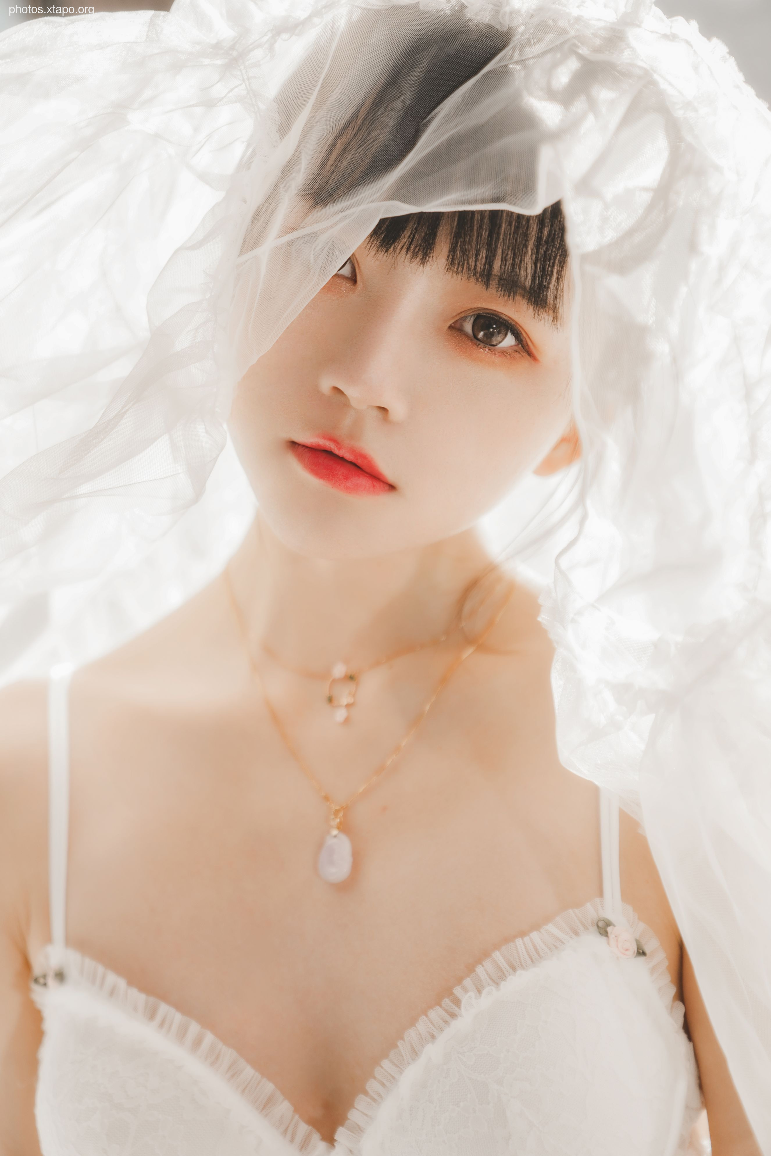 糖 桜 – -White gauze sugar