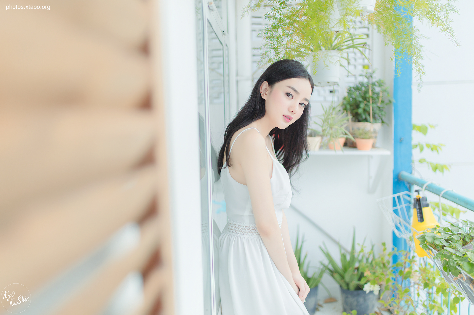 I opened the poem you copied in the past, butterflies dreamy moon The poem was short but not short Going in the middle of the memory kept using the torment