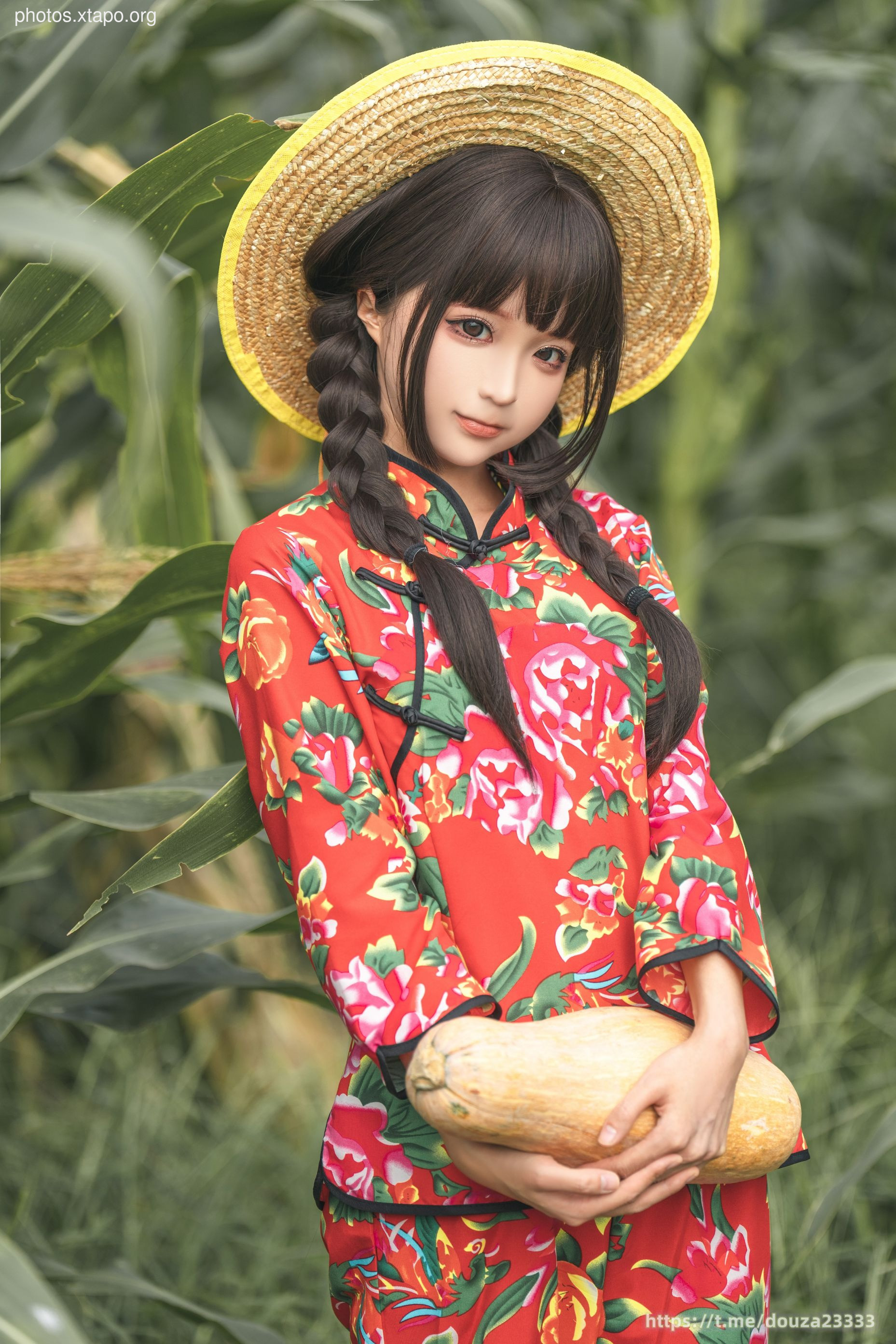 Story of Stupid Momo Rice Land (September 11th Member Resources)