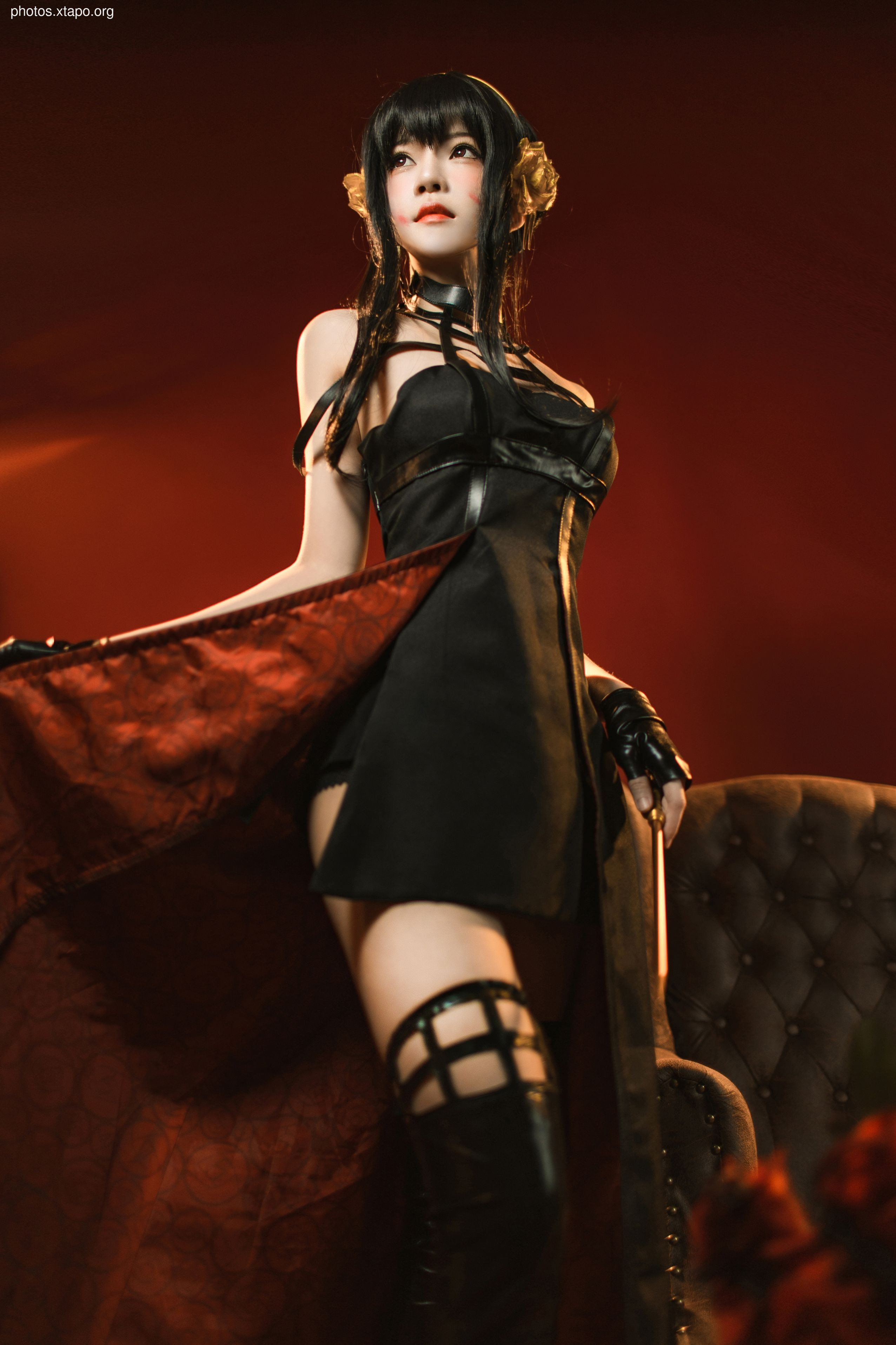 Tao Tao Meowoy (Member Resources in August 19)