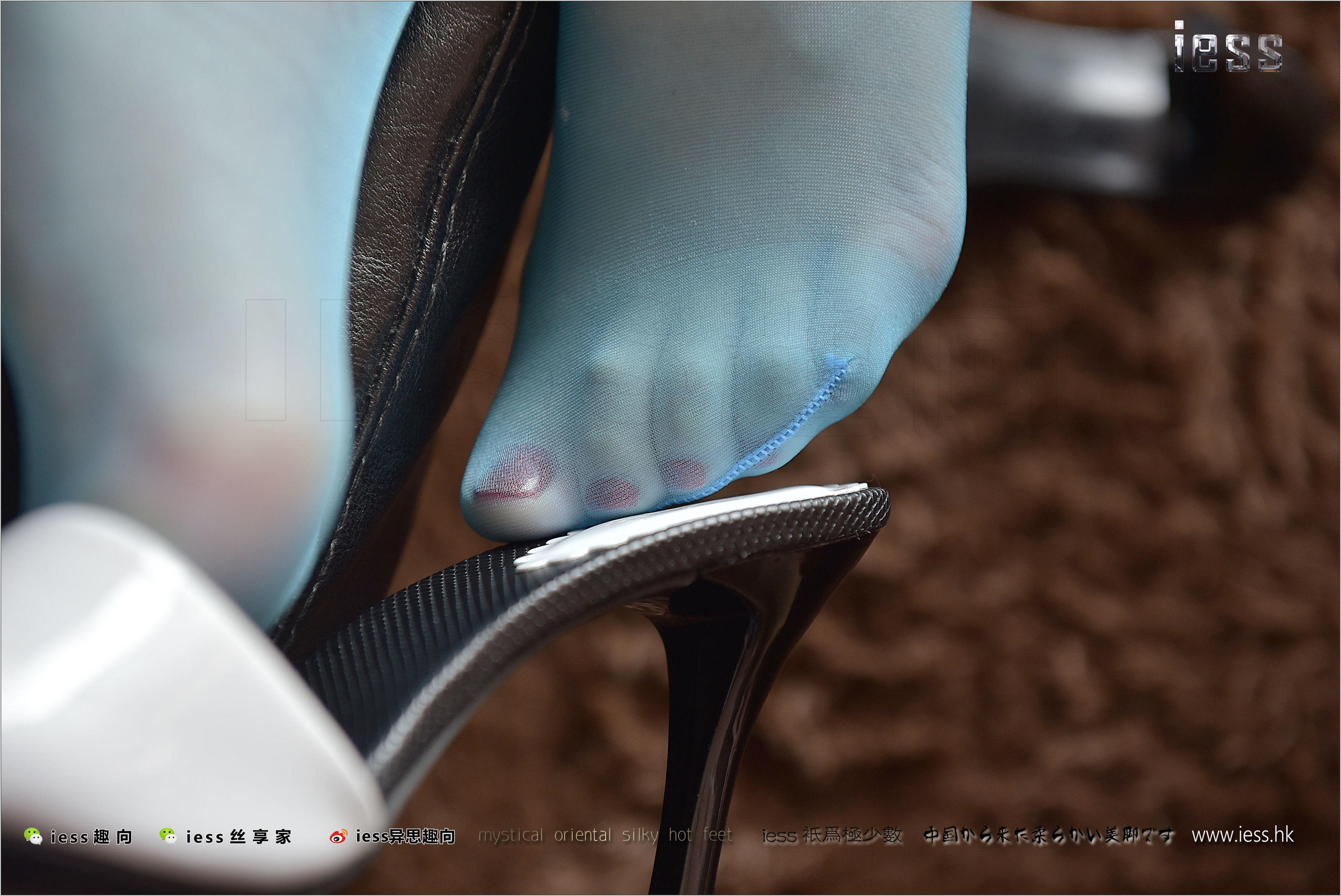 Silk Foot Bento 141 Shanshan Blue Taste IESS Thoughts and Fun