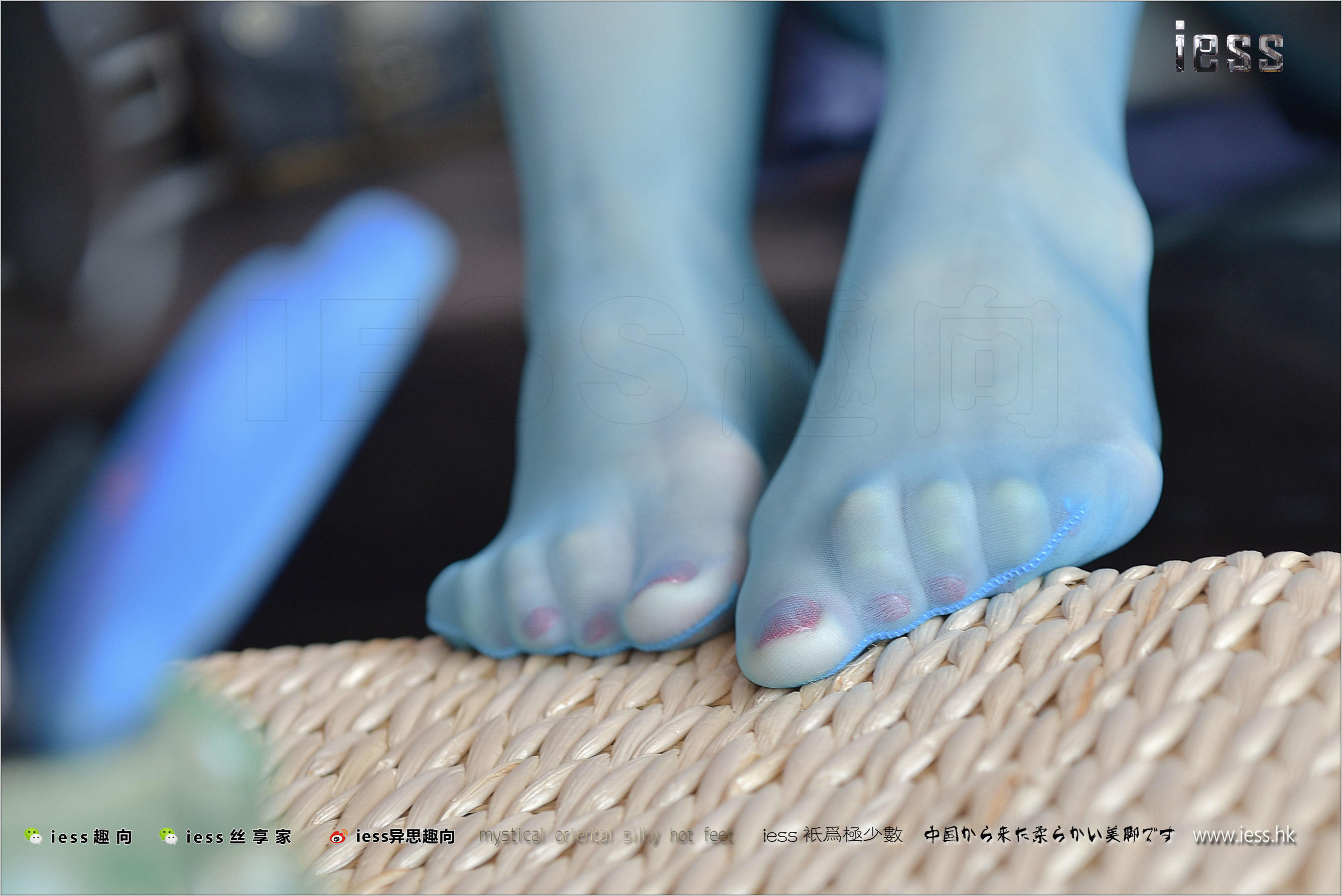 Silk Foot Bento 141 Shanshan Blue Taste IESS Thoughts and Fun