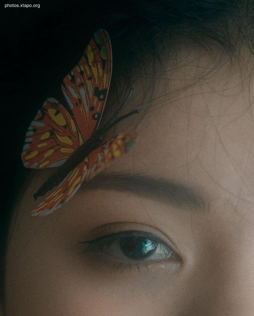 Nguyen Le Phuong Thao