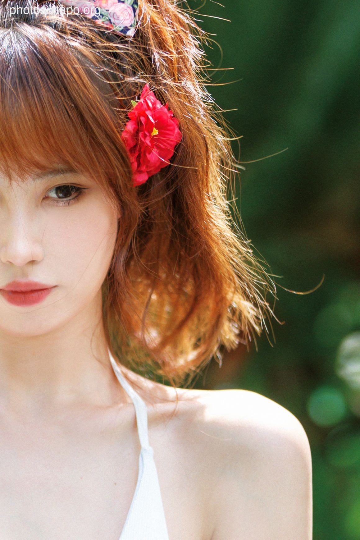 NO.034 Showa Flower 35P-435MB