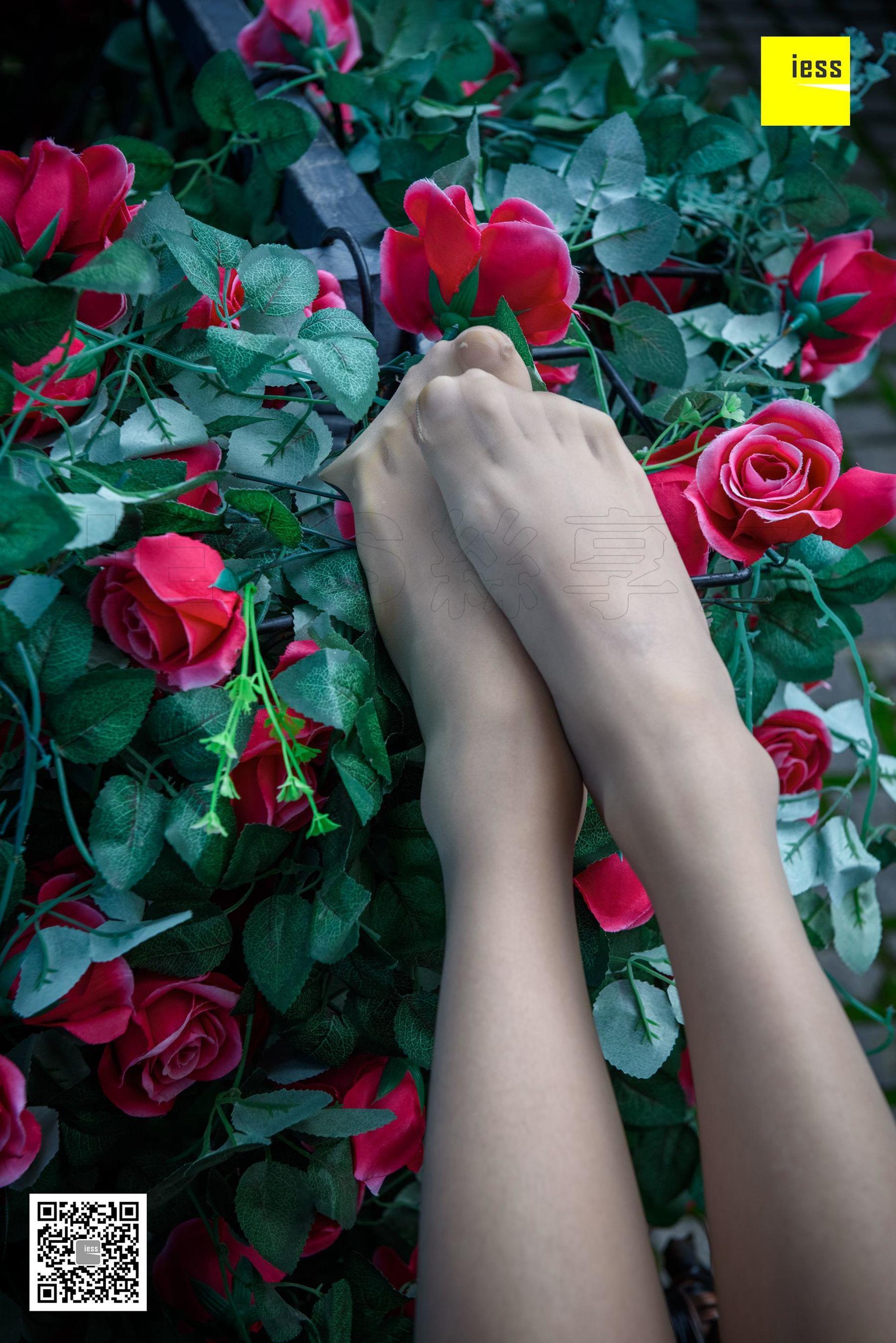 Wan Ping's Rose and Patriarchs Fun Thoughts to IESS Silk Enjoy Home 161