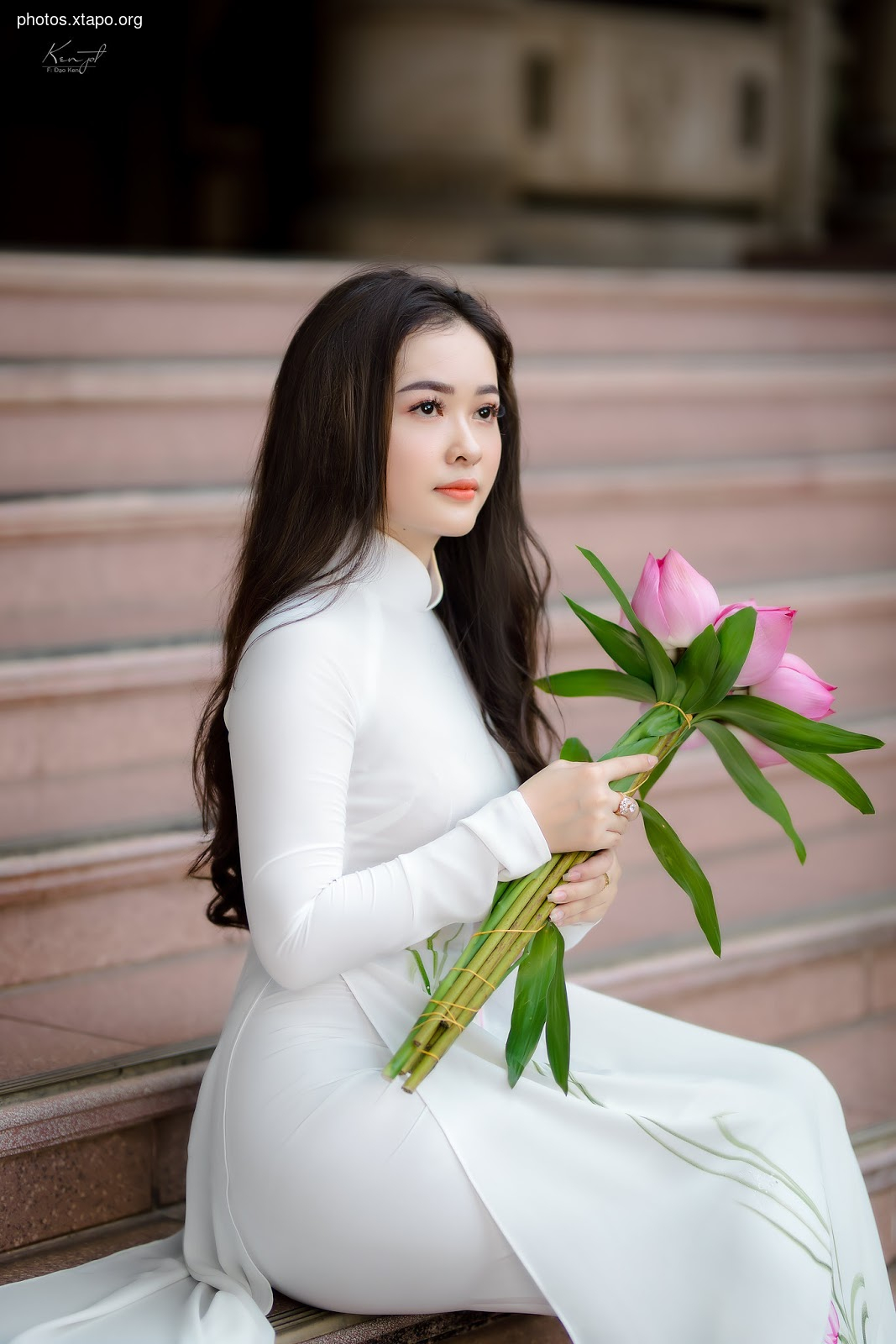 Sen Ao Dai