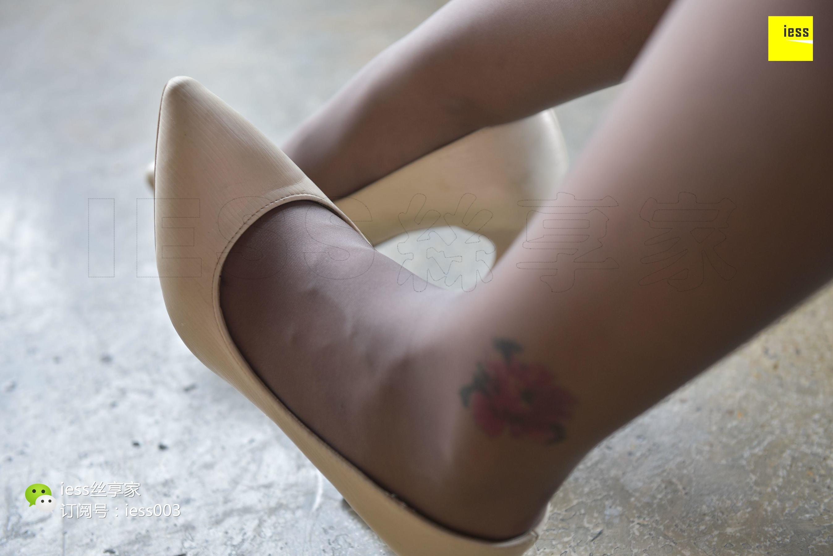 Silkxiang Home 059 Xiaobei Domineering Sister Fan Gray Si