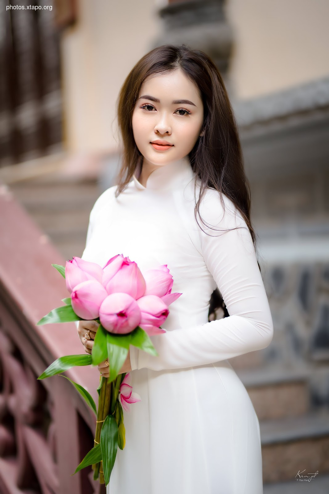 Sen Ao Dai