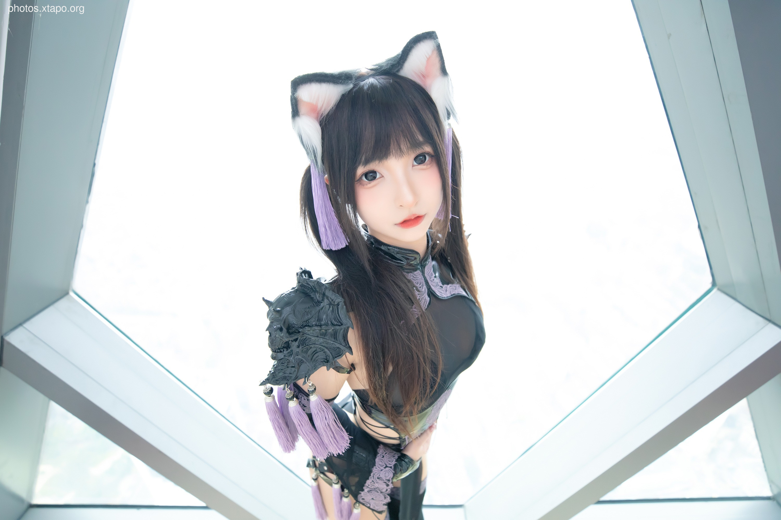 Kamika Saka Shinong Cheongsam Cat Woman (January 6 Reward Group Resources)