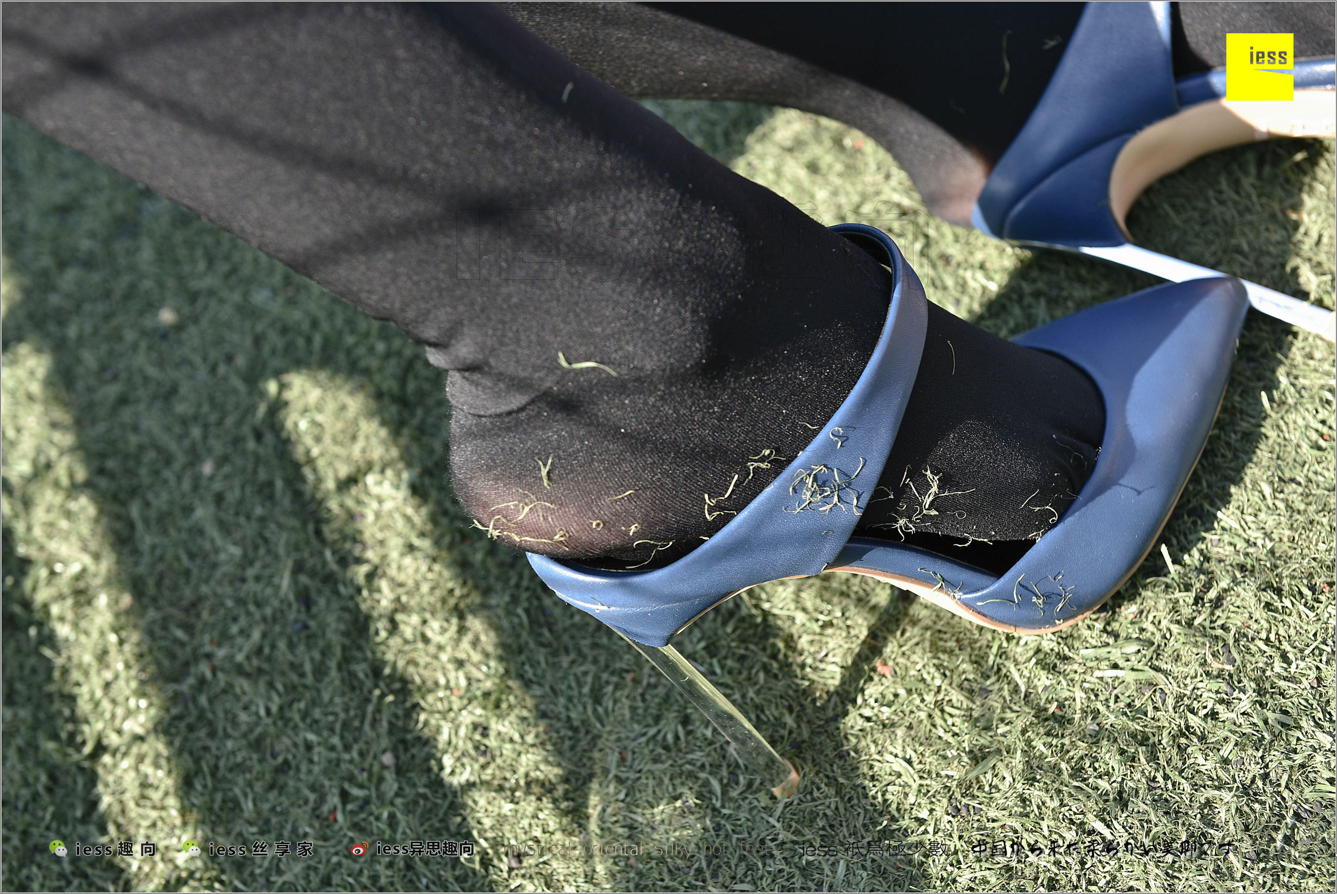 Silk Foot Bento 182 The Thick Black Silk Temptation of Thick Black Silk