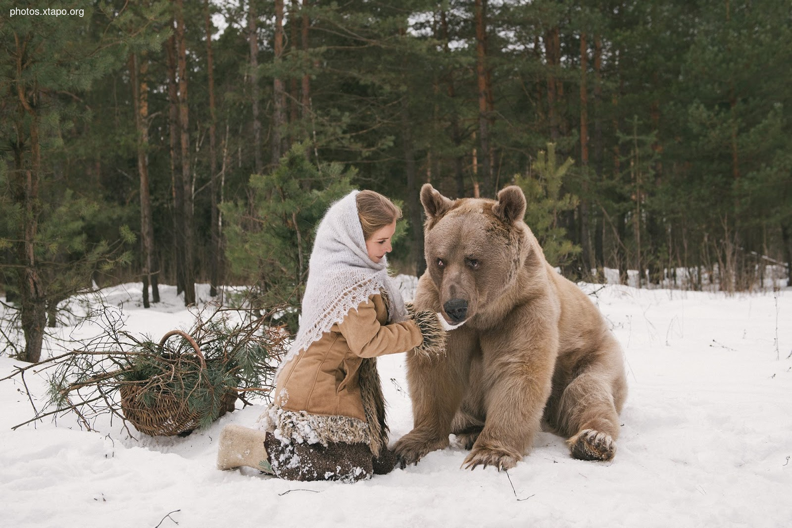 Russia nature, forest and animals by Olga Barantseva