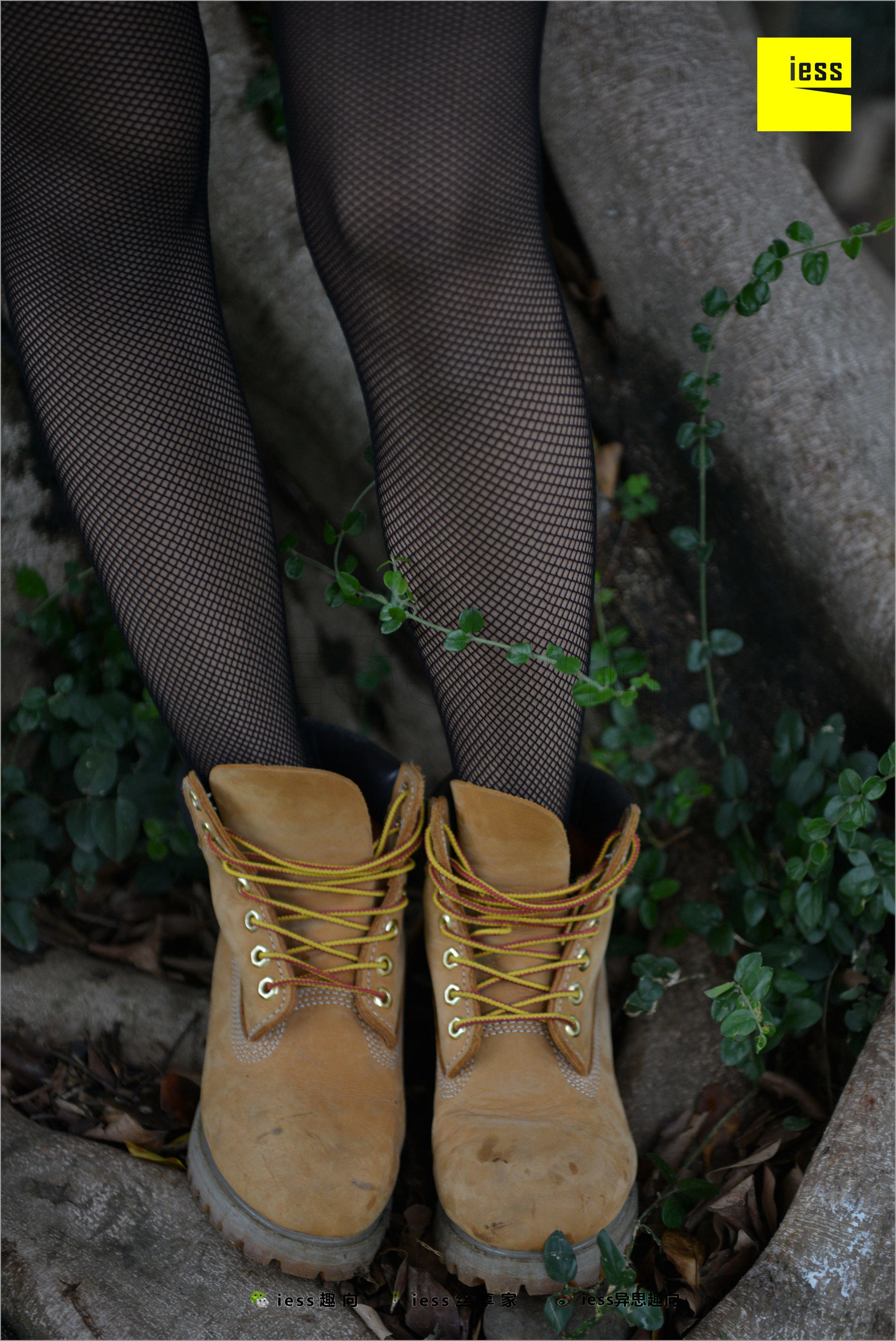 Xiaoxiao's Eye Socks that goes astray Different Thoughts to IESS Silk Foot Bento 233