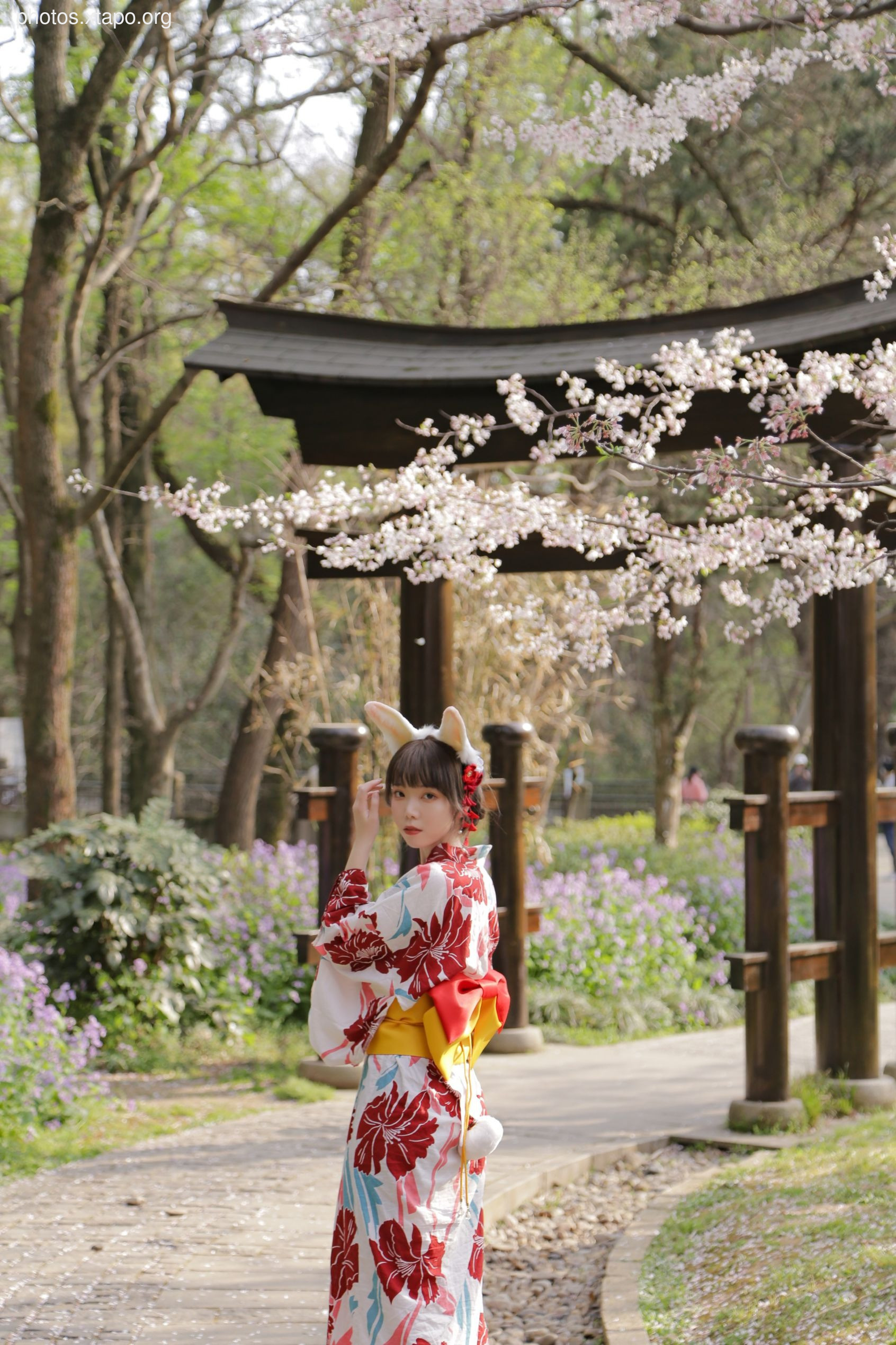 NO.017 Sakura Rabbit