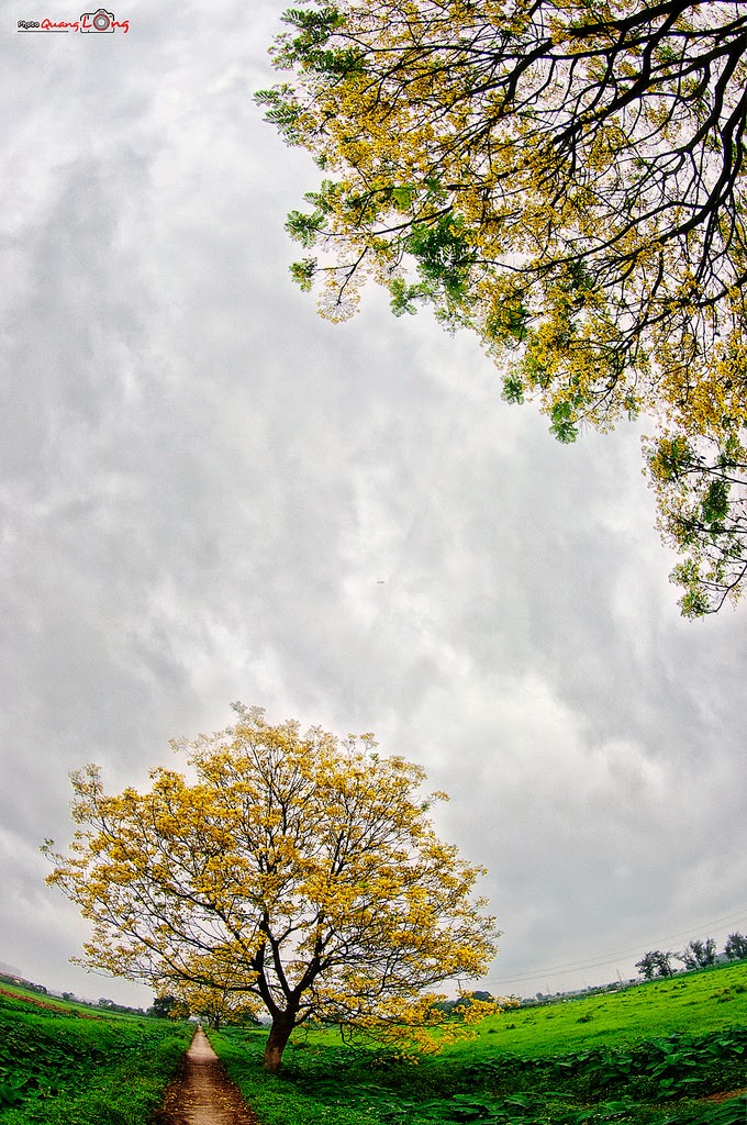 The road, between the pain The pain is just enough to miss each other, smile | Like ca