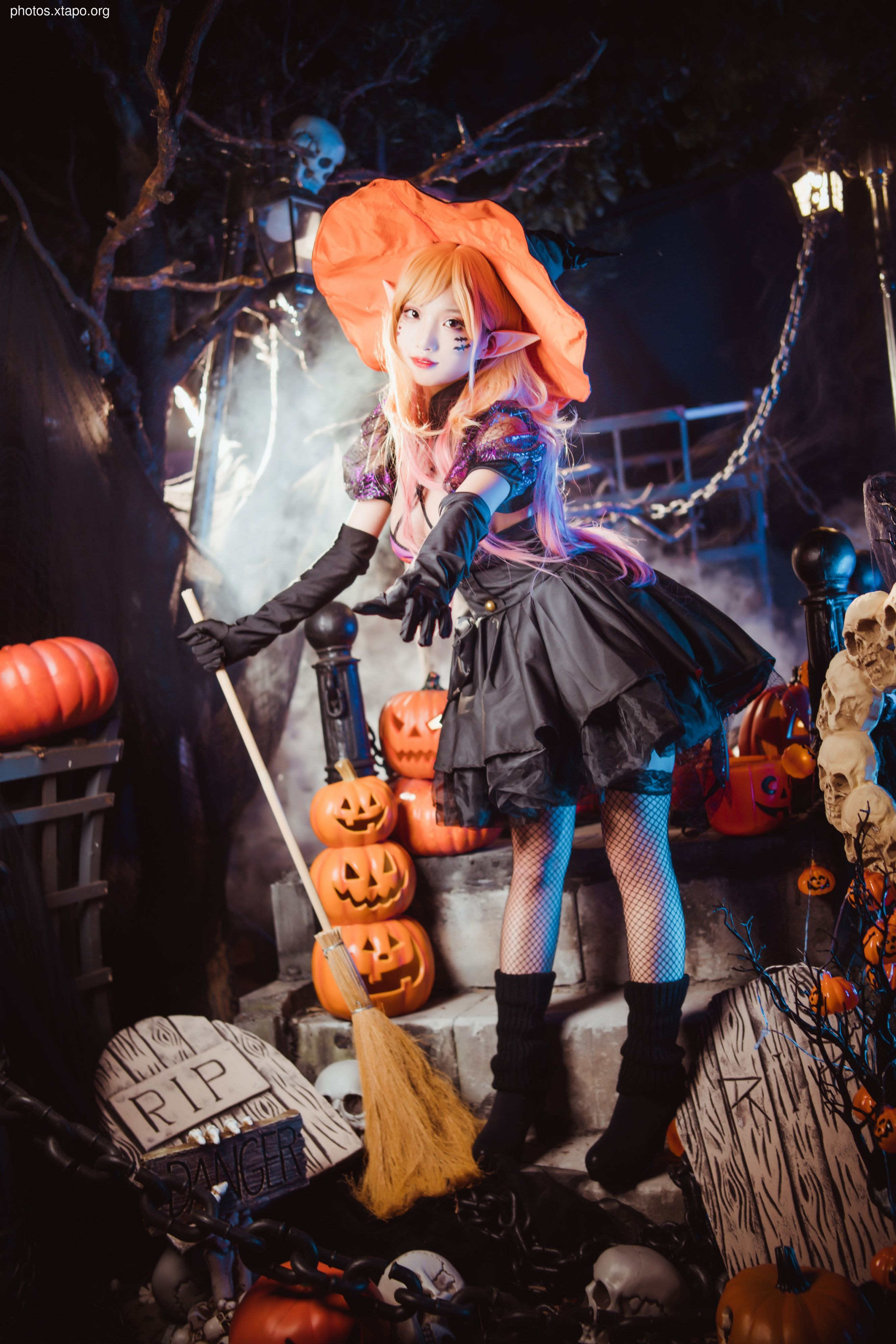 Fox 狐 狐 Halloween