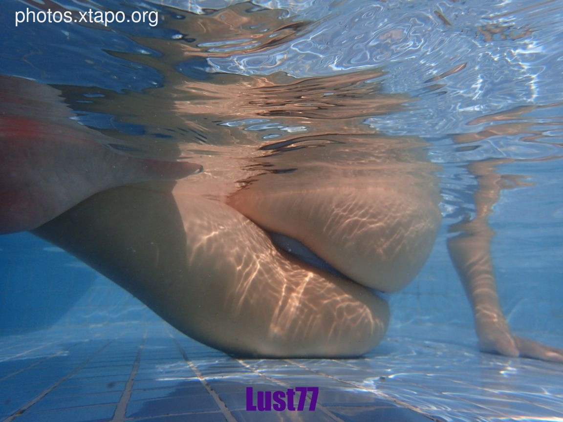 柒 柒 71P1V-1.31GB