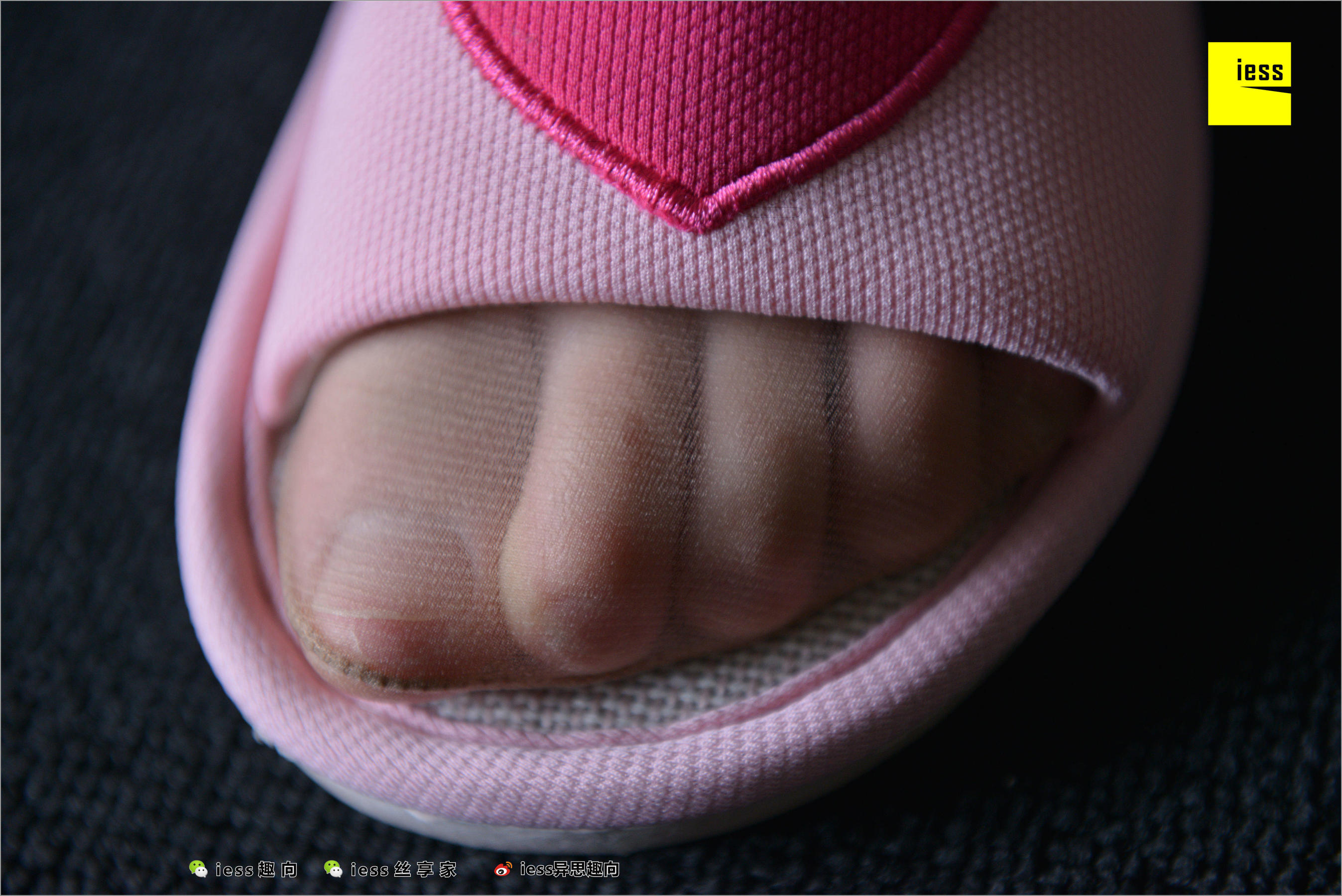 Yunzhi Rejoice at first glance (1) Different Thoughts to IESS Silk Foot Bento 235