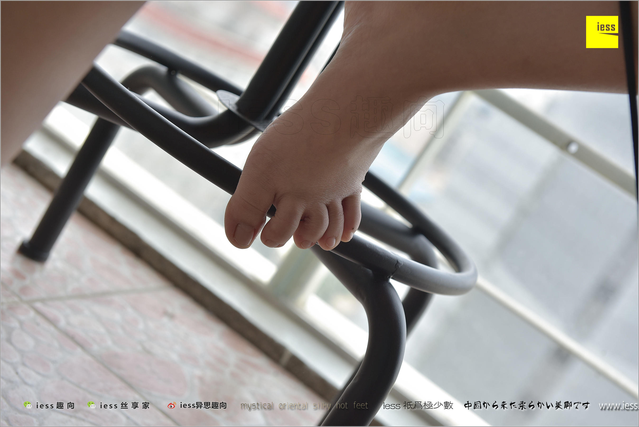 184 Zhang Foot Bento Zhang Xinyue's Contentive Frequency Music IESS Thoughts and Interesting