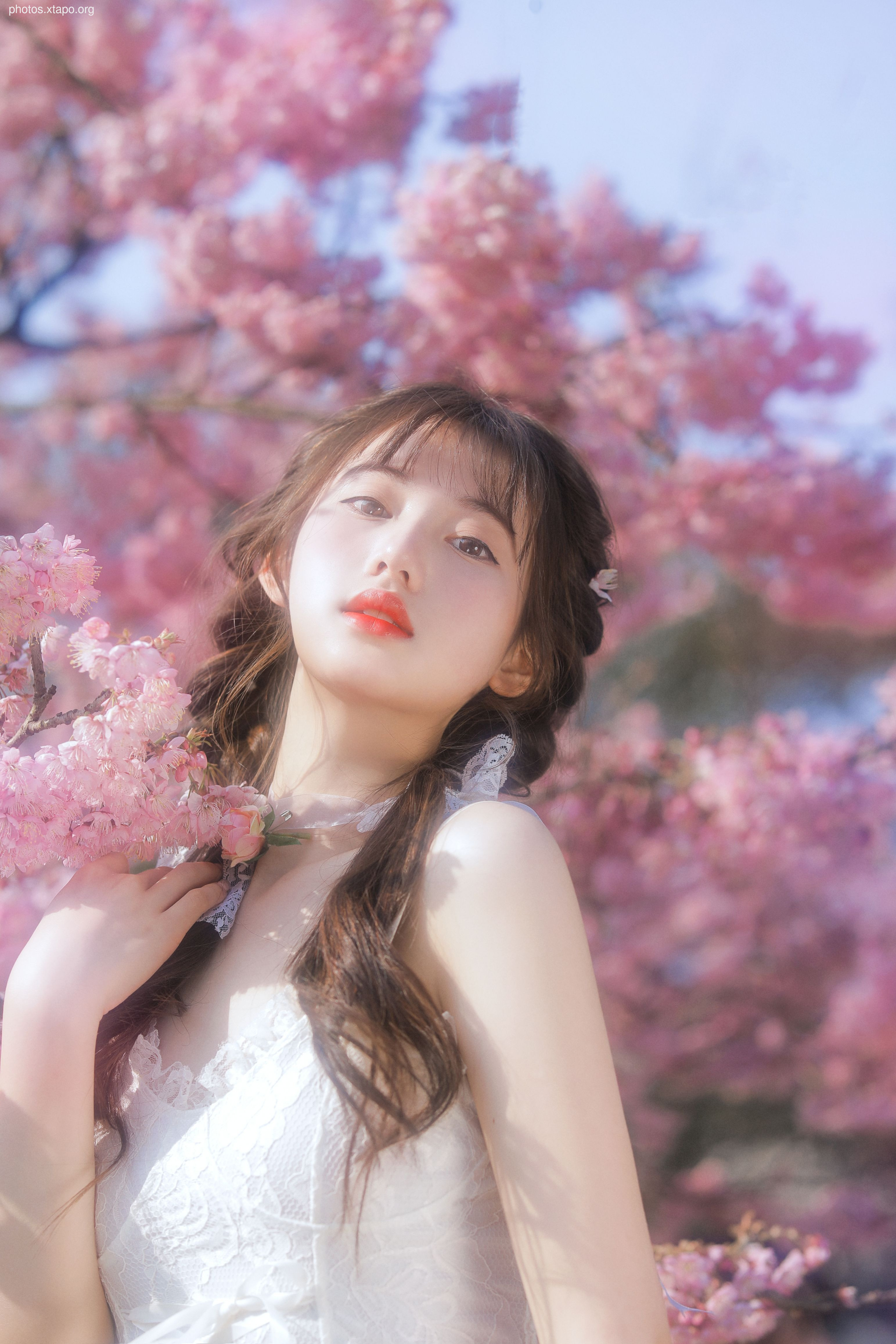 Yizi yiii cherry blossom limited