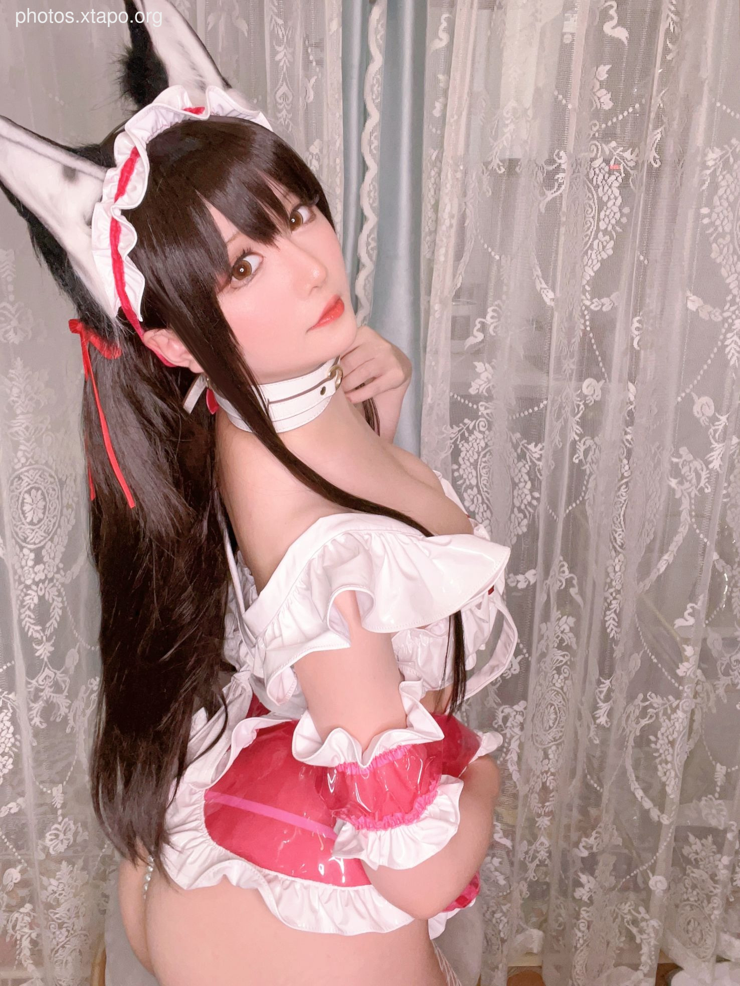 Stars Late October Plan D Original-Hypnosis Sister (November 12 Award Group Resources)